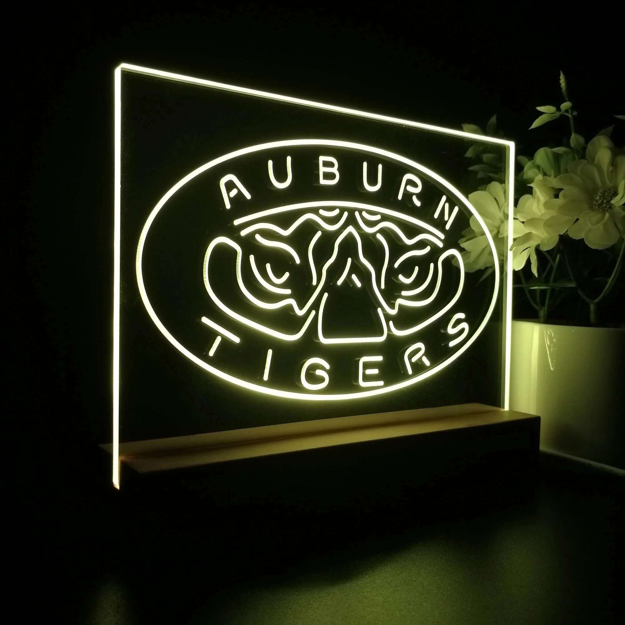 Auburn Tigers Night Light Pub Bar Lamp - Image 5