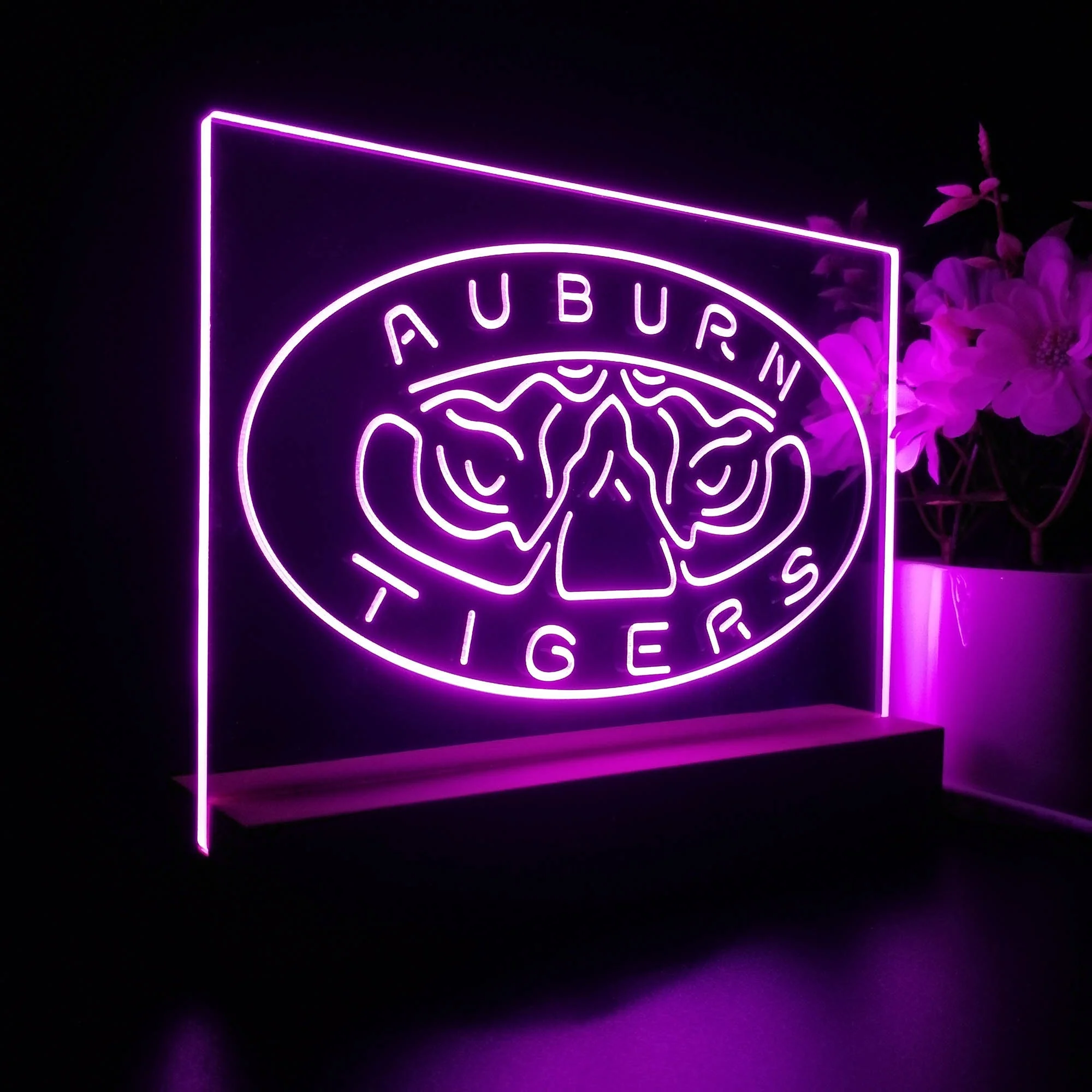Auburn Tigers Night Light Pub Bar Lamp - Image 6