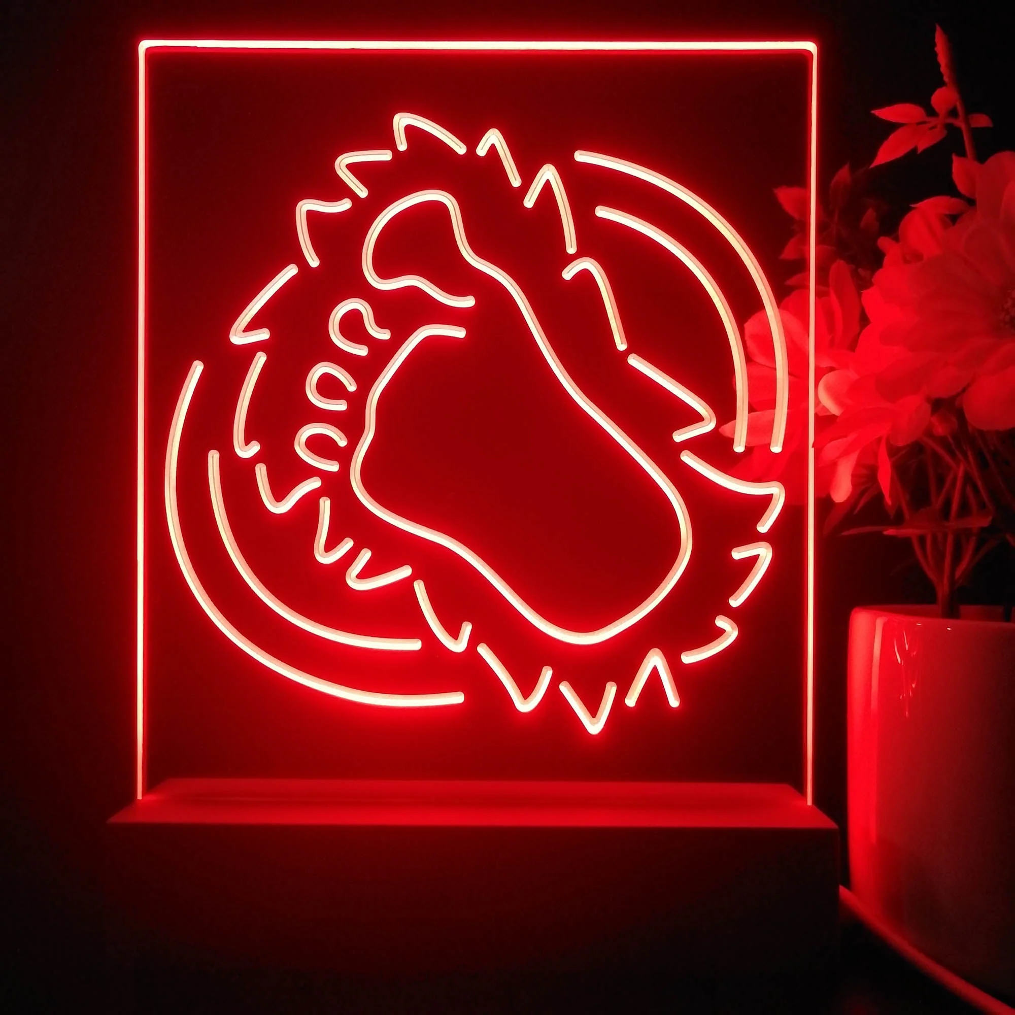 Colorados Avalanches 3D Illusion Night Light Desk Lamp