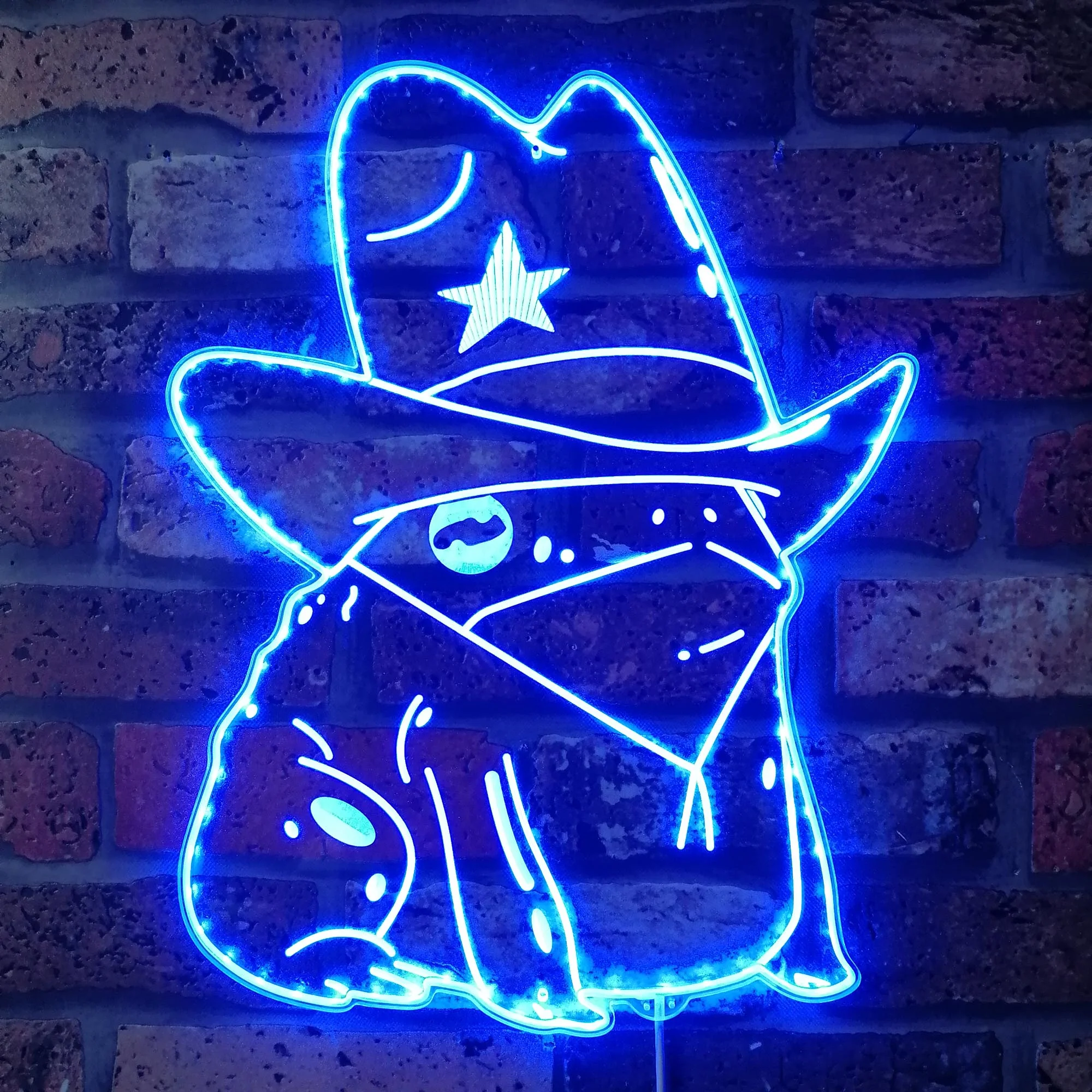 Cowgirl Frog Neon LED Sign with Dynamic RGB Colors - Image 4