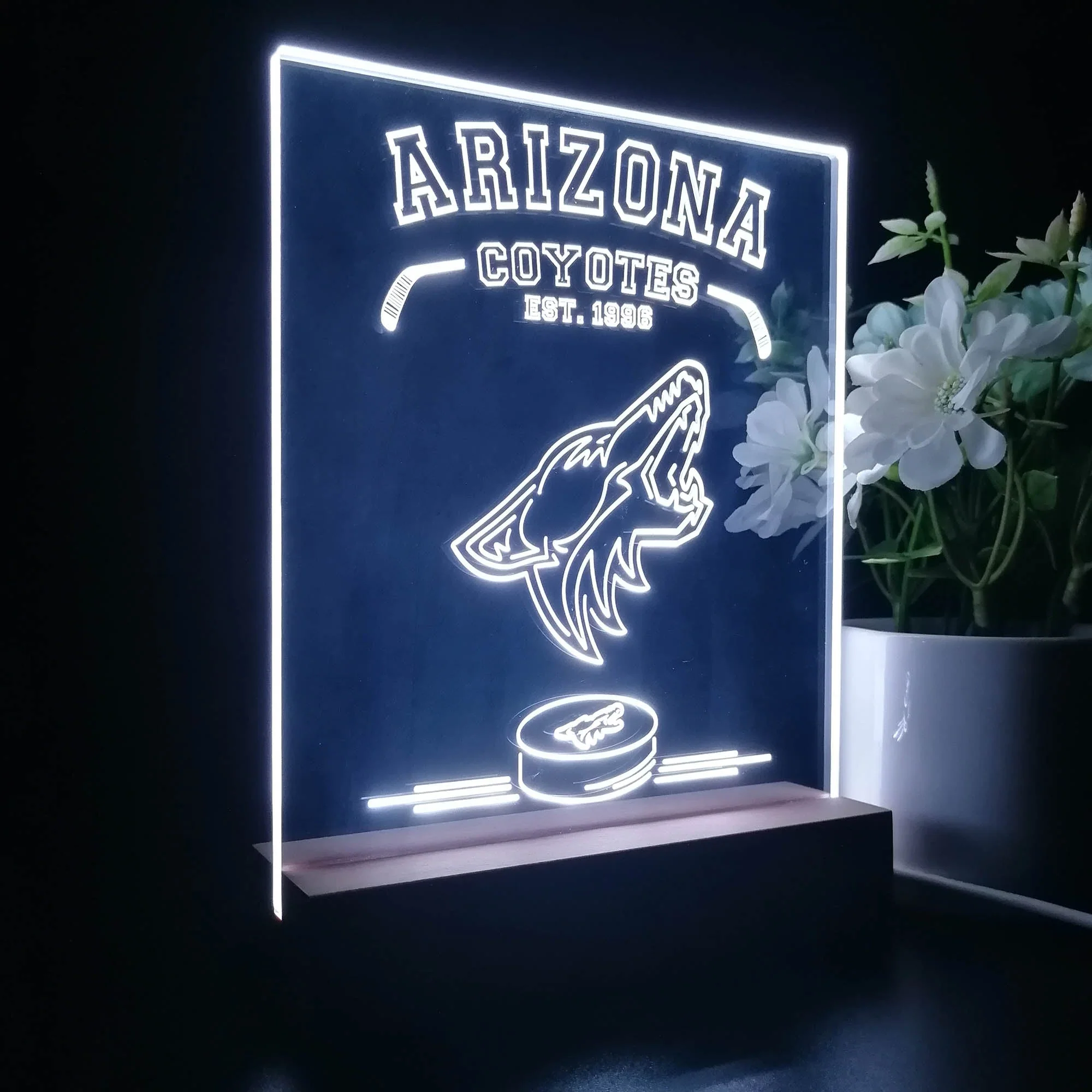 Personalized Arizona Coyotes Souvenir Neon LED Night Light Sign - Image 5