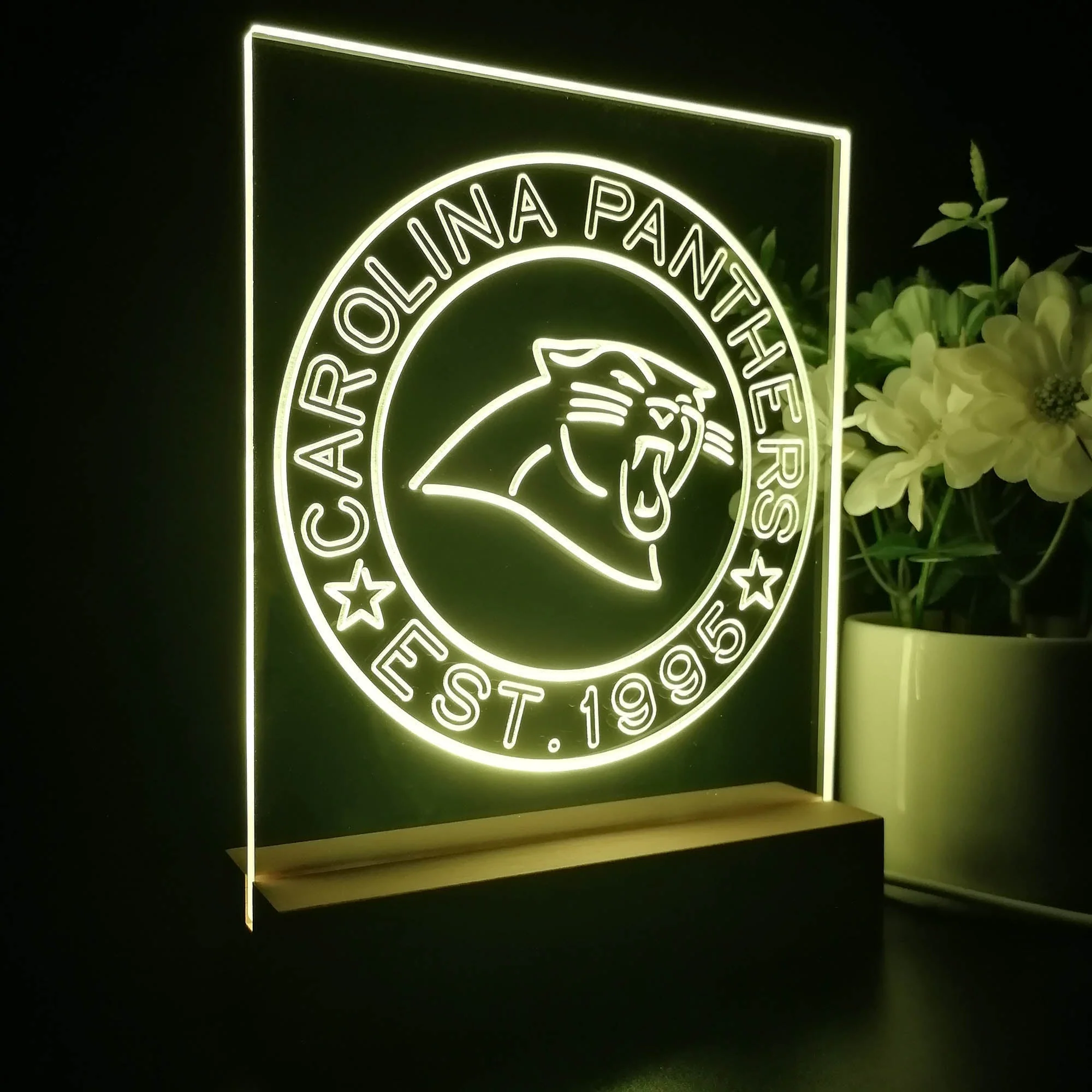 Personalized Carolina Panthers Souvenir Neon LED Night Light Sign - Image 6