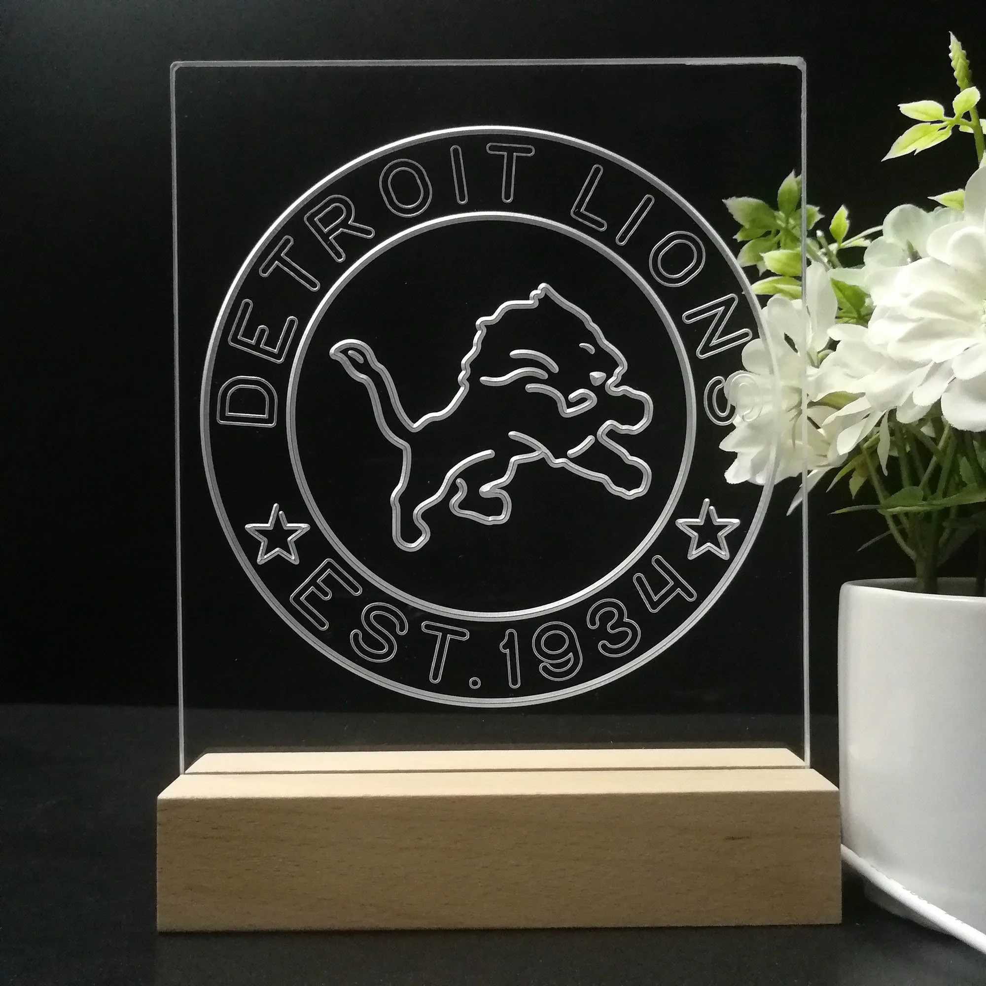 Personalized Detroit Lions Souvenir Neon LED Night Light Sign - Image 8