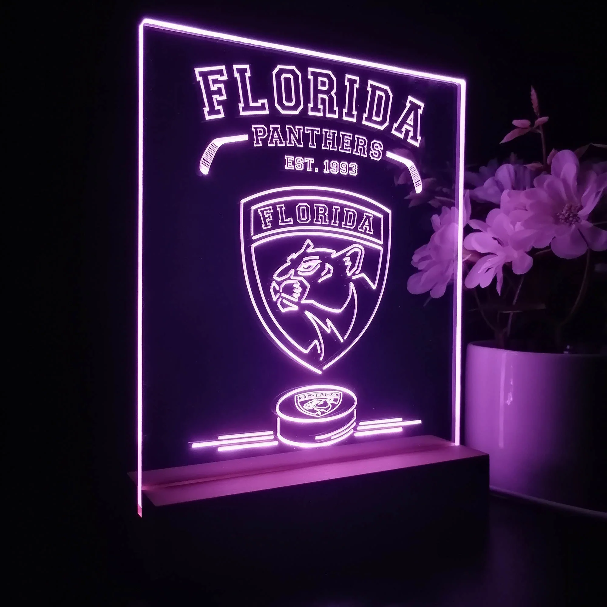 Personalized Florida Panthers Souvenir Neon LED Night Light Sign - Image 5