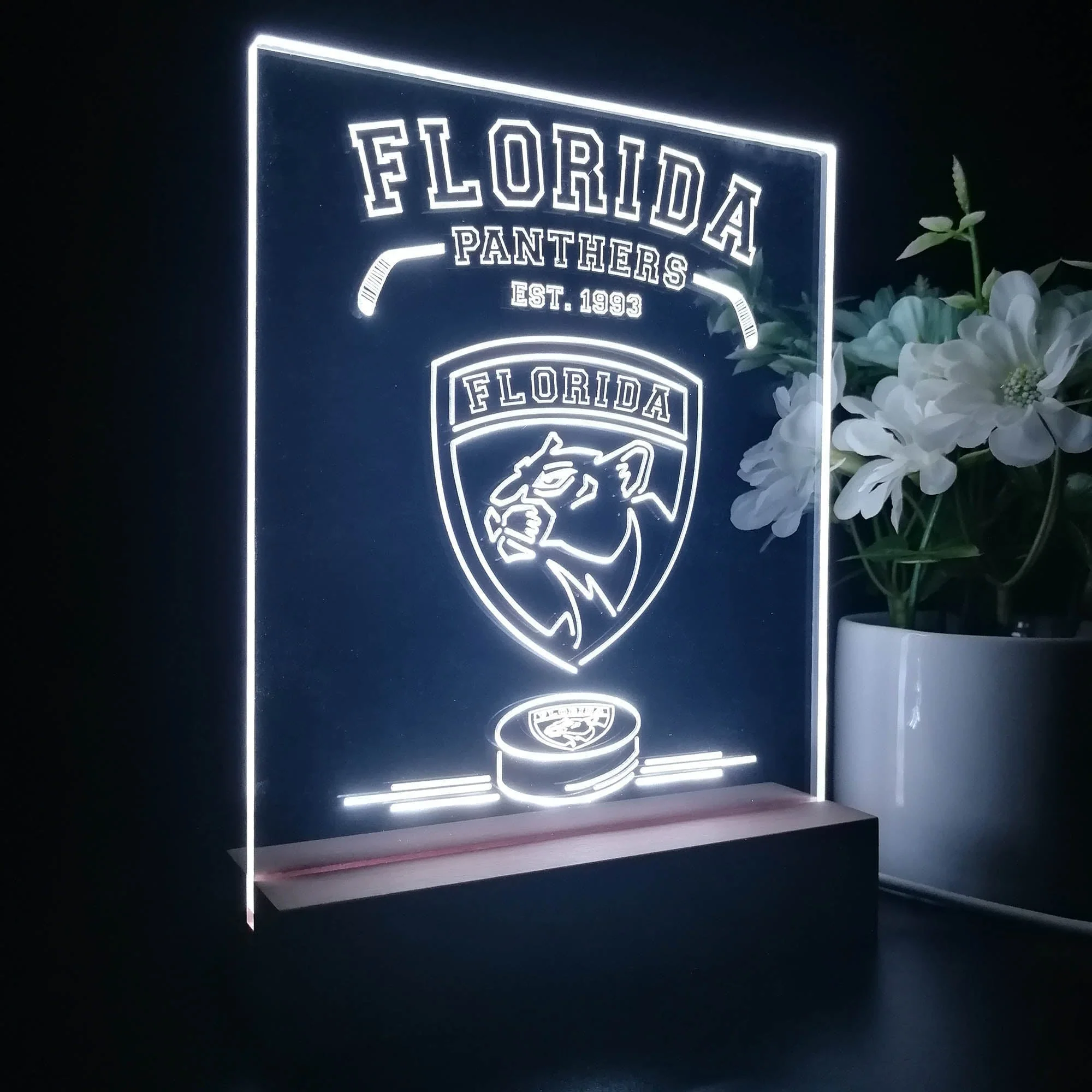 Personalized Florida Panthers Souvenir Neon LED Night Light Sign - Image 7