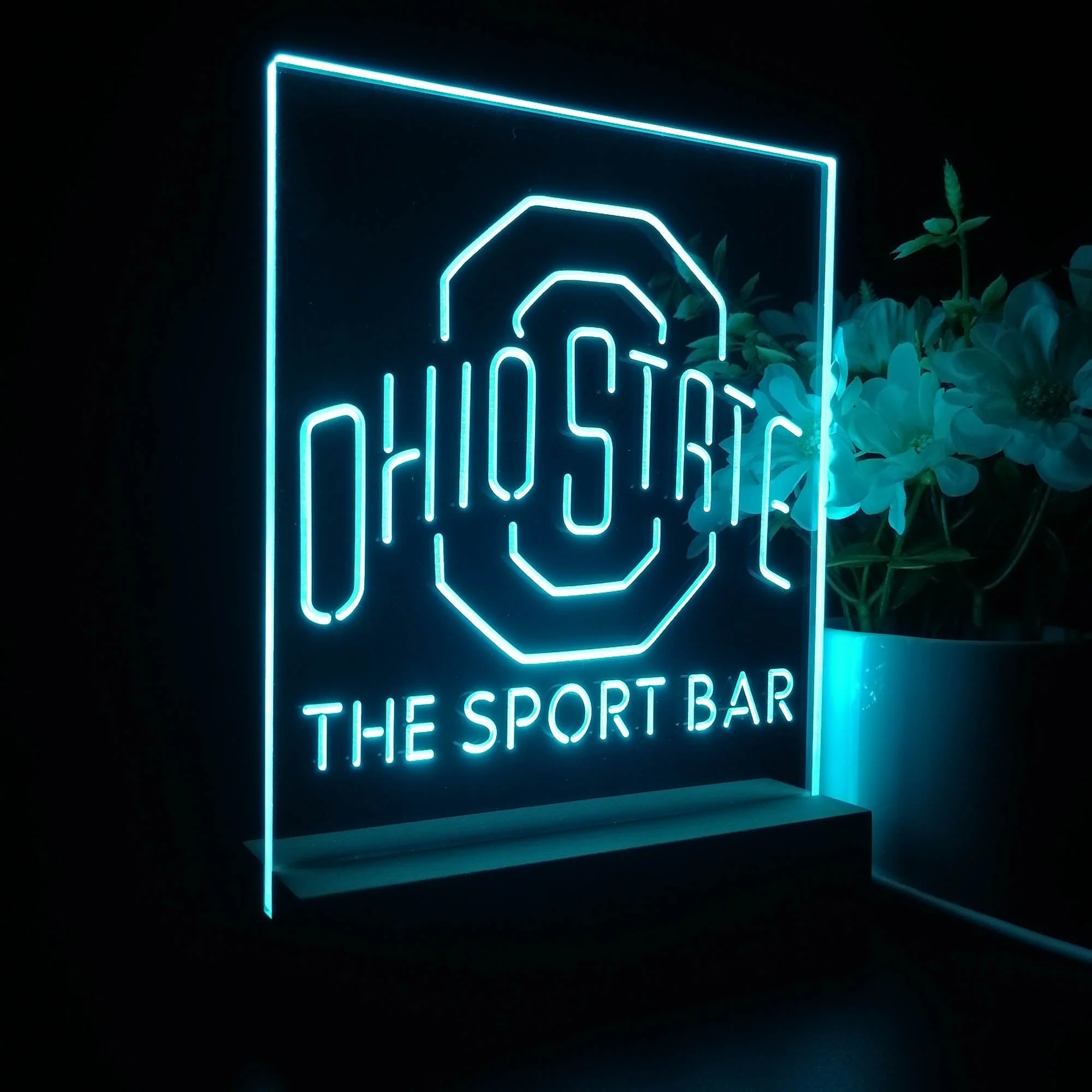 Personalized Ohio State Buckeyes Souvenir Neon LED Night Light Sign - Image 5