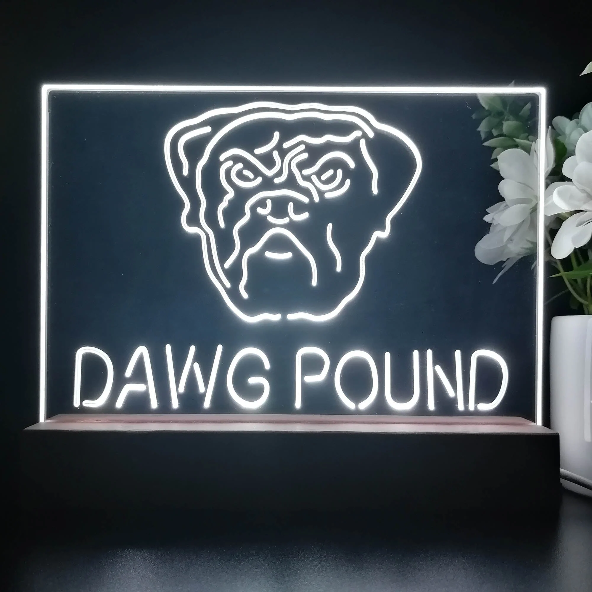 Dawg Pound Cleveland 3D Illusion Night Light Desk Lamp - Image 3
