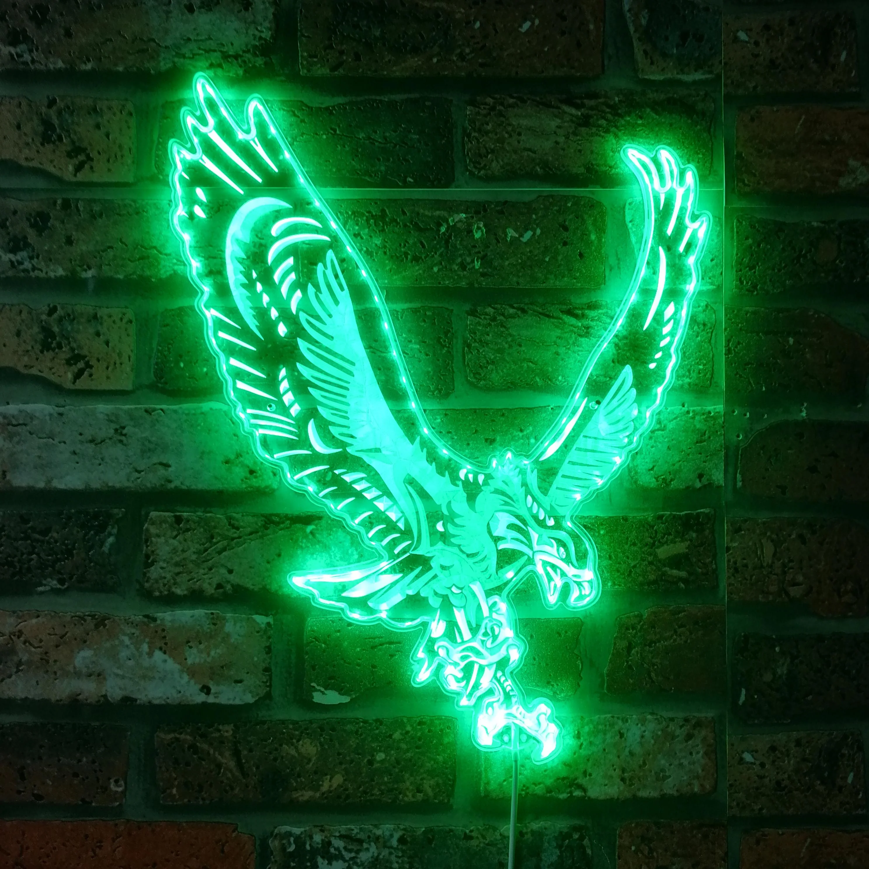 Philadelphia Eagles Neon LED Sign with Dynamic RGB Colors