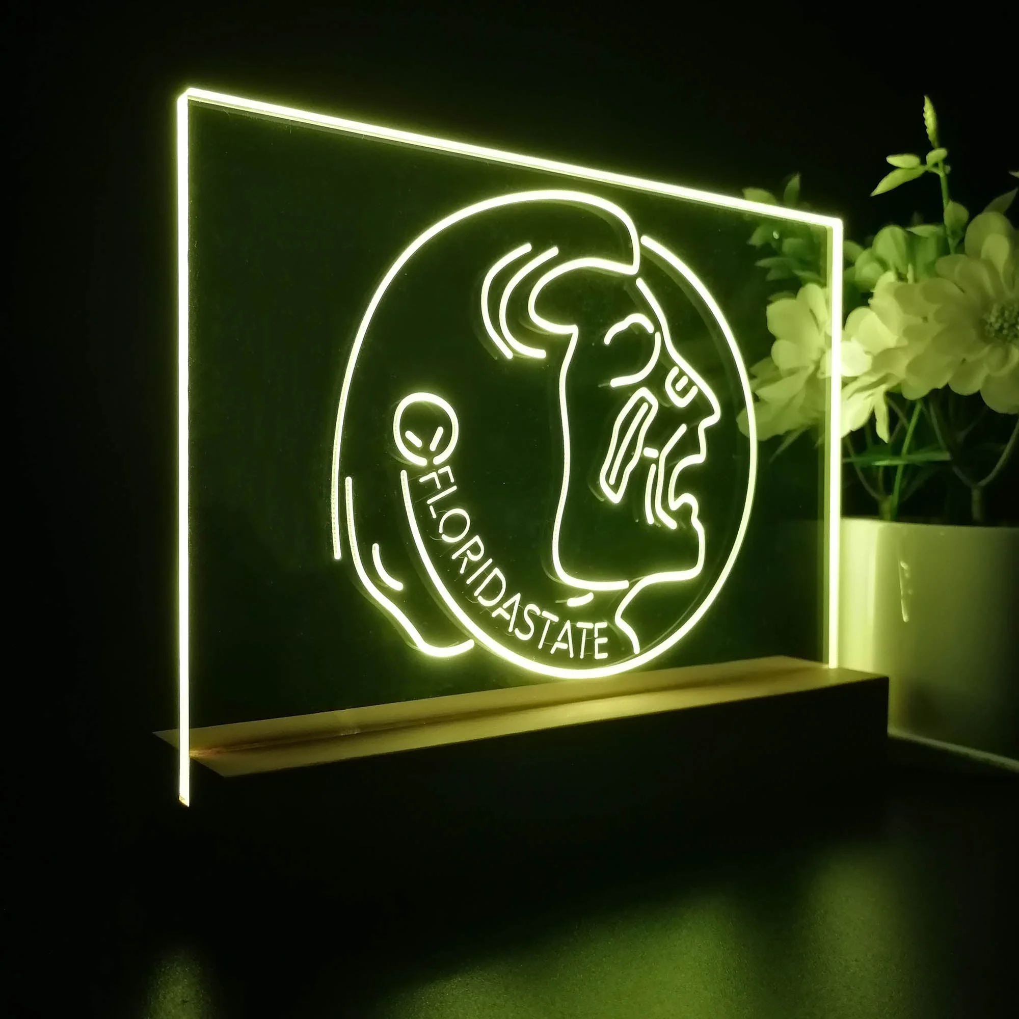 Florida State Seminoles Night Light Pub Bar Lamp - Image 7