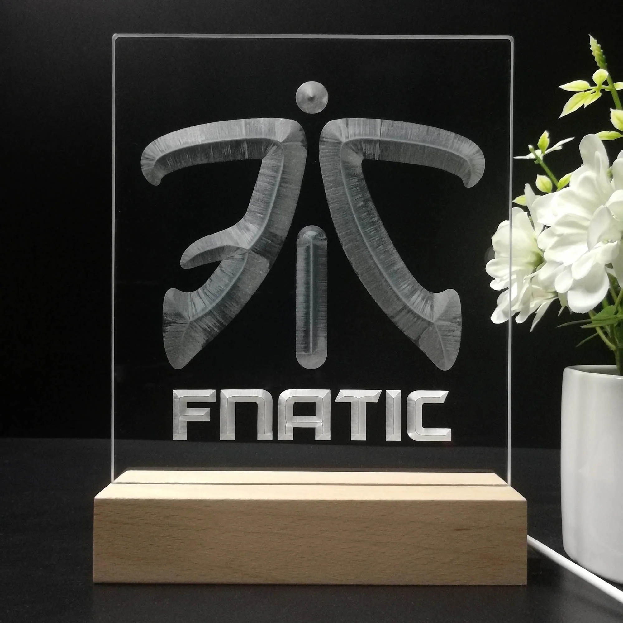 Fnatic Team 3D Illusion Night Light Desk Lamp - Image 8