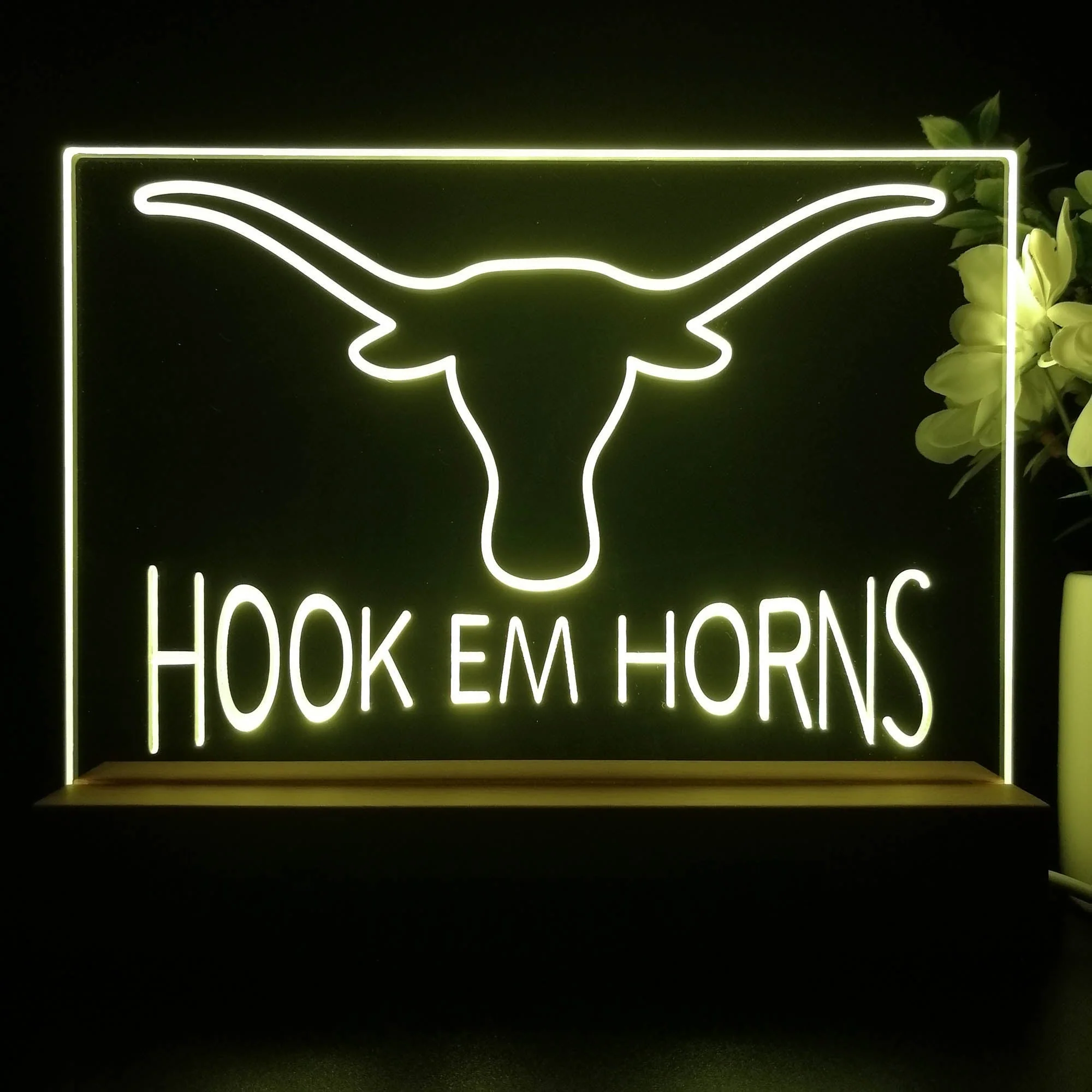 Hook Em Horns University of Texas 3D Illusion Night Light Desk Lamp