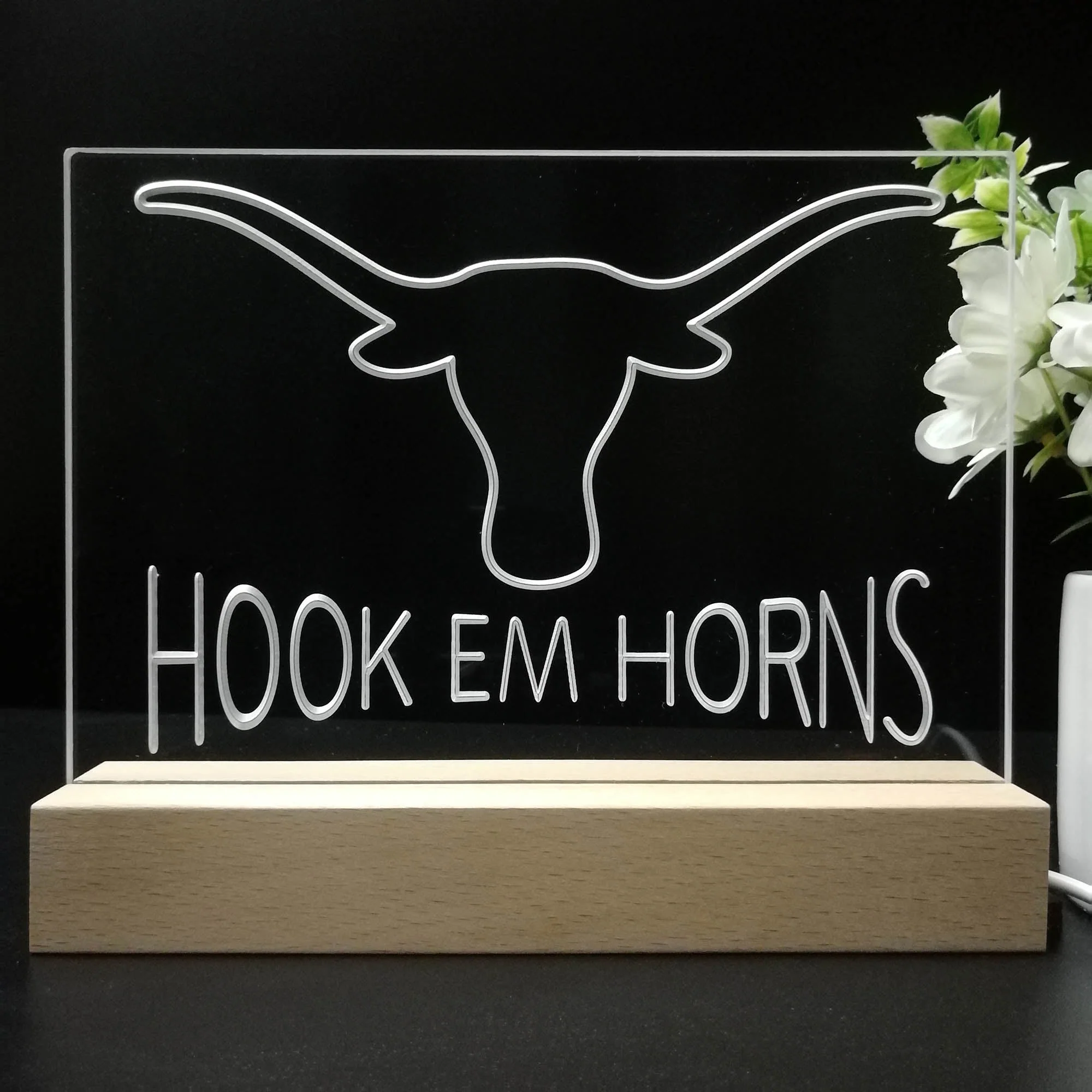 Hook Em Horns University of Texas 3D Illusion Night Light Desk Lamp - Image 8
