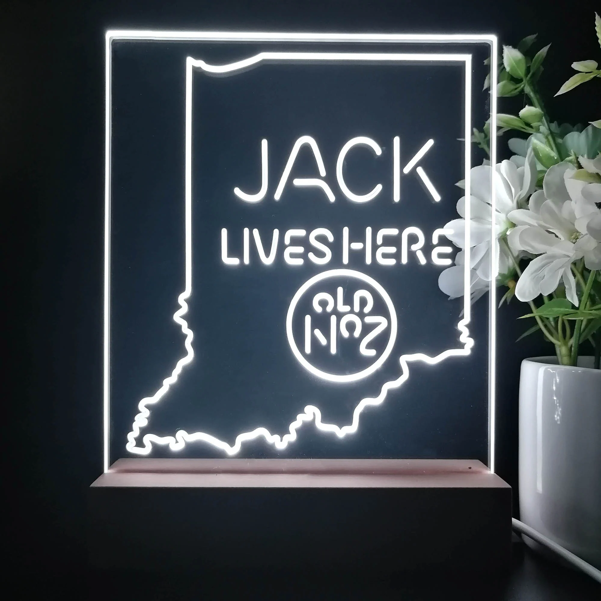 Indiana Jack Lives Here Night Light Neon Pub Bar Lamp - Image 2