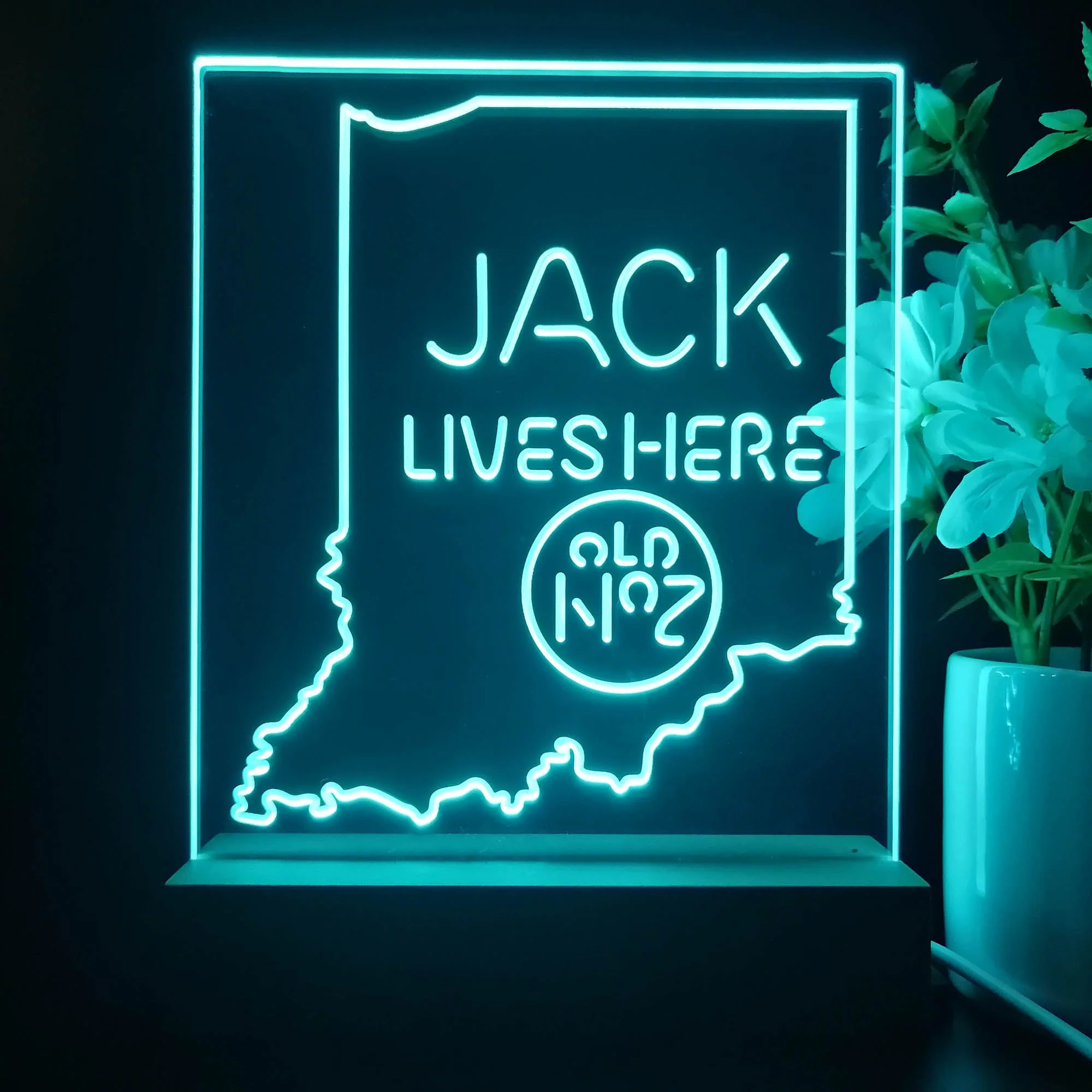 Indiana Jack Lives Here Night Light Neon Pub Bar Lamp - Image 4
