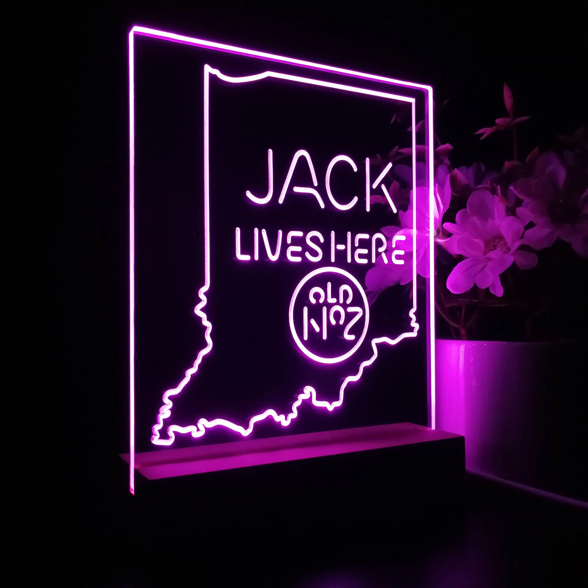 Indiana Jack Lives Here Night Light Neon Pub Bar Lamp - Image 6