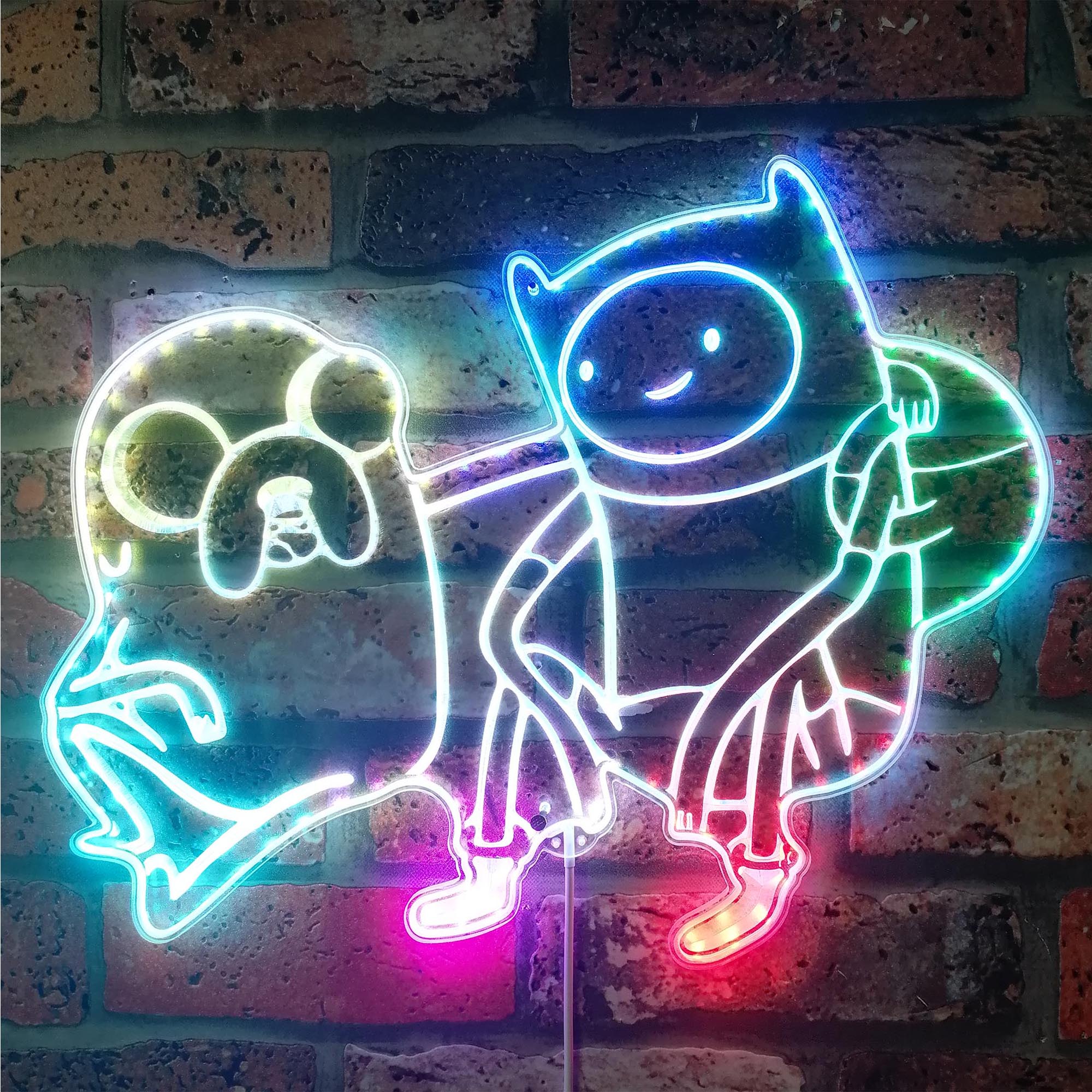 Jake & Finn Neon LED Sign with Dynamic RGB Colors