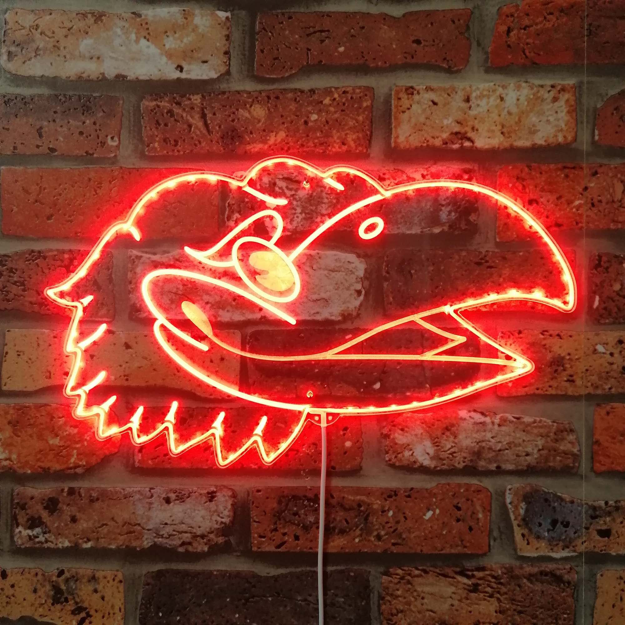 Kansas Jayhawks Neon LED Sign with Dynamic RGB Colors