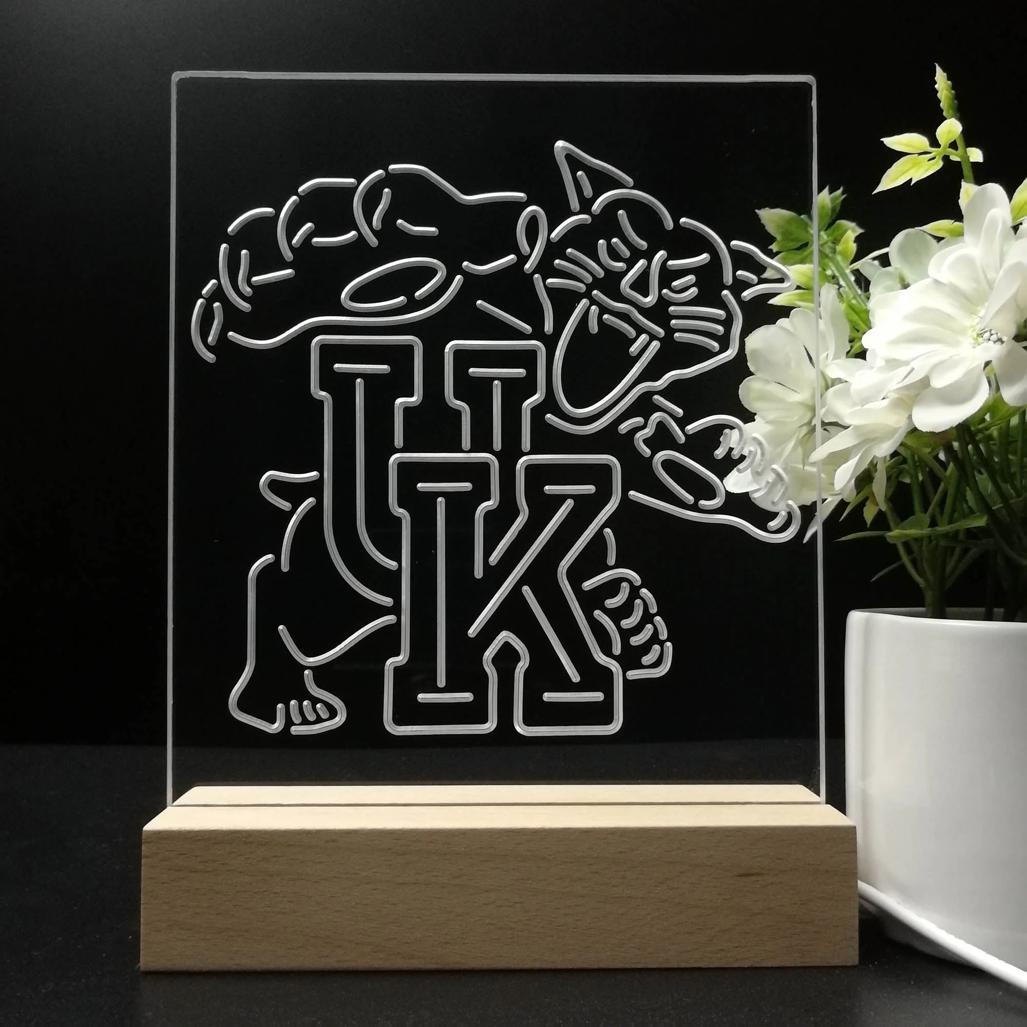Kentucky Wildcats 3D Illusion Night Light Desk Lamp - Image 8