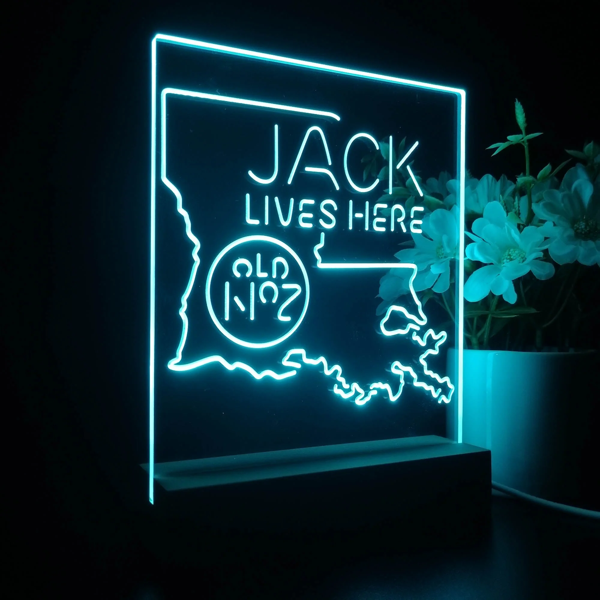 Louisiana Jack Lives Here 3D Illusion Night Light Desk Lamp - Image 6