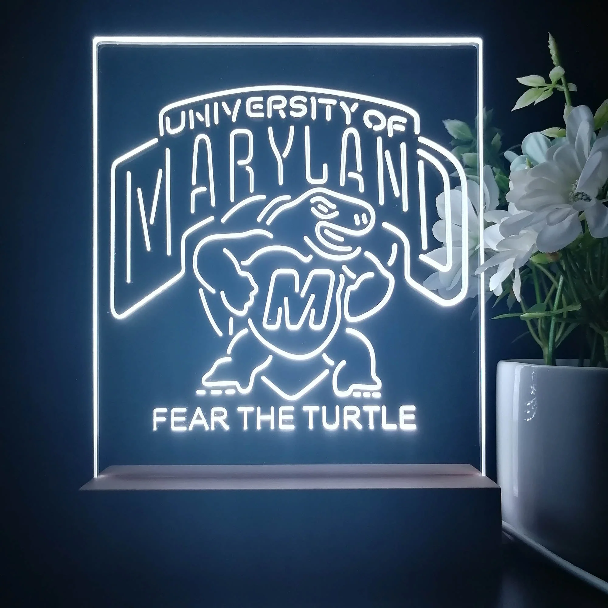 Maryland Turtle Fear The Turtle 3D Illusion Night Light Desk Lamp - Image 4