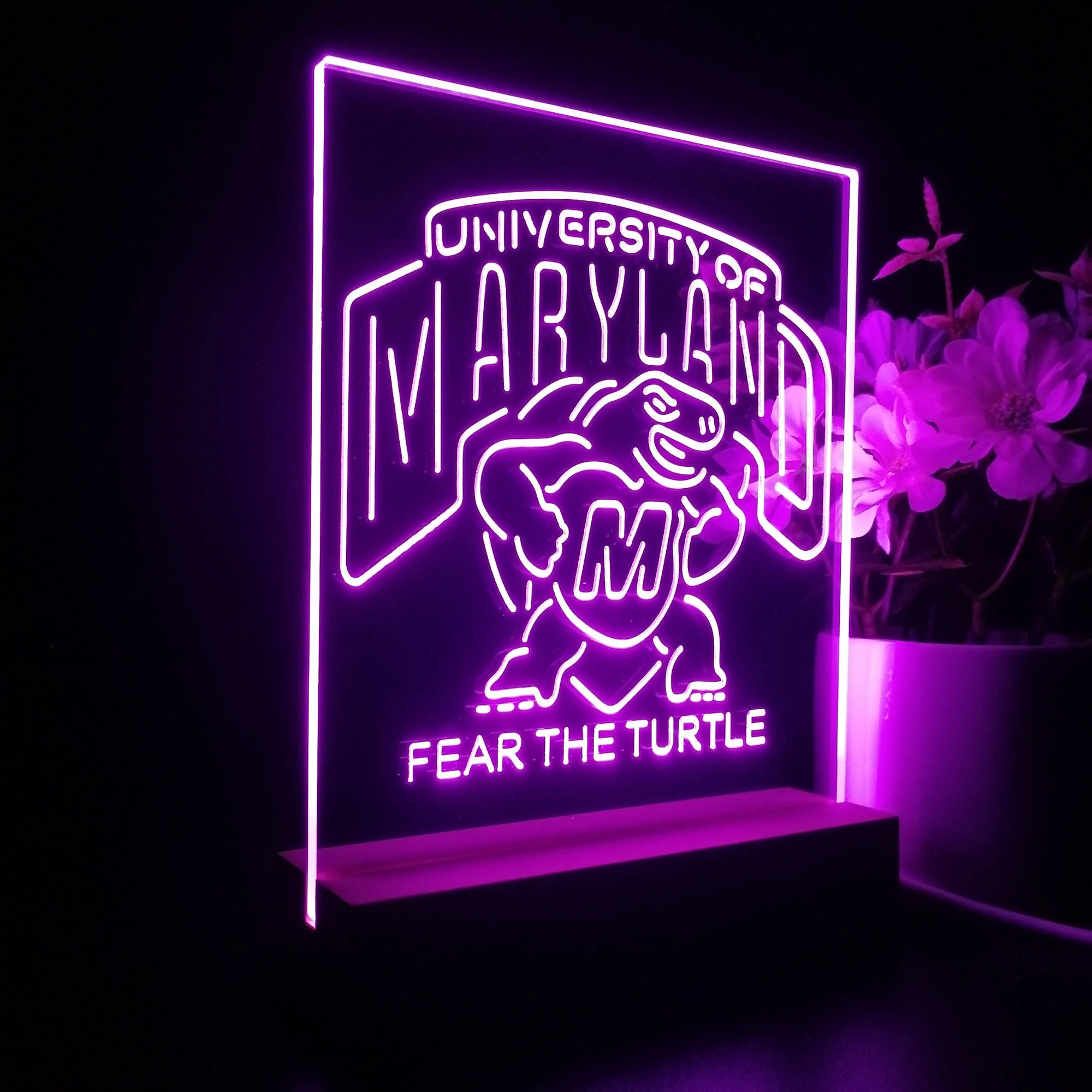 Maryland Turtle Fear The Turtle 3D Illusion Night Light Desk Lamp - Image 5