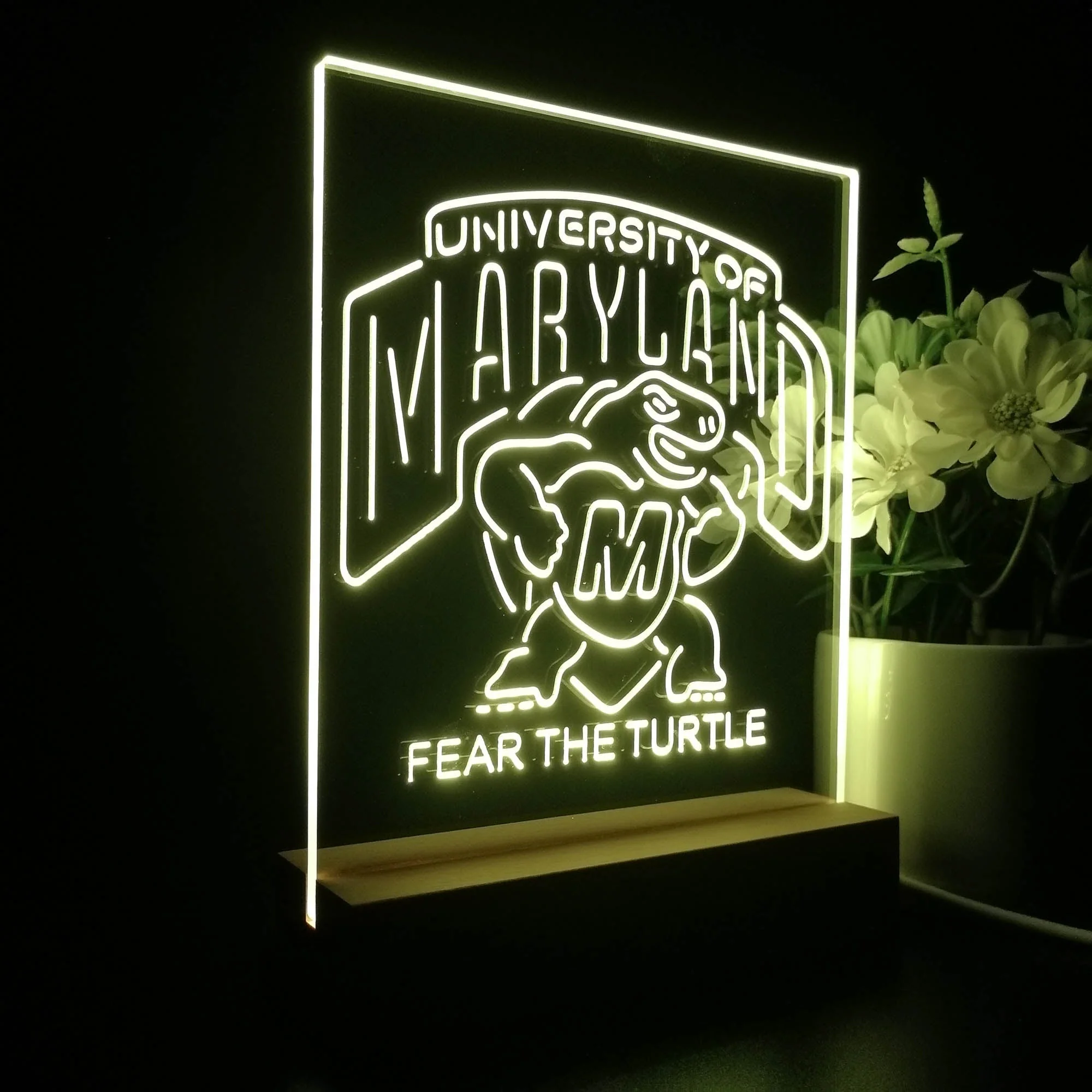 Maryland Turtle Fear The Turtle 3D Illusion Night Light Desk Lamp - Image 6