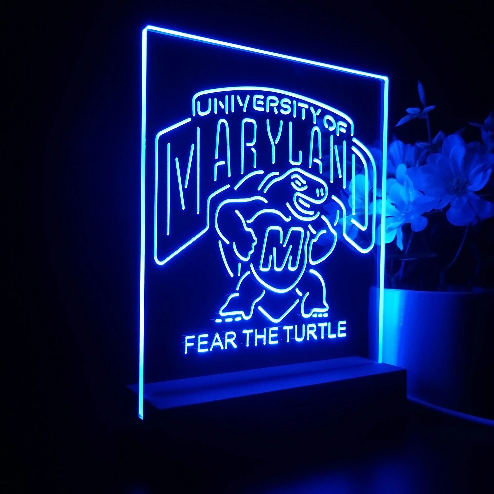 Maryland Turtle Fear The Turtle 3D Illusion Night Light Desk Lamp - Image 7