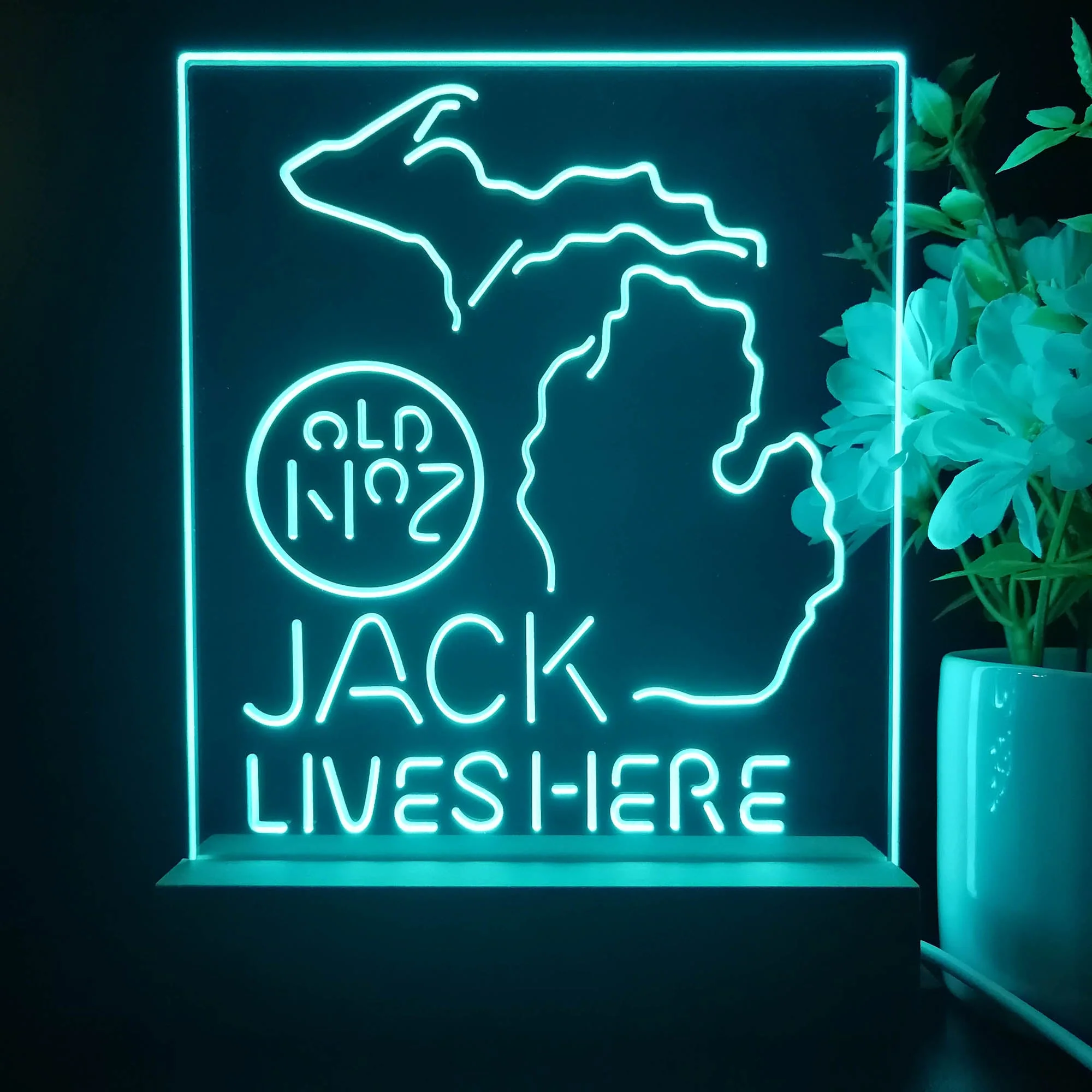 Michigan Jack Lives Here Night Light Neon Pub Bar Lamp - Image 3