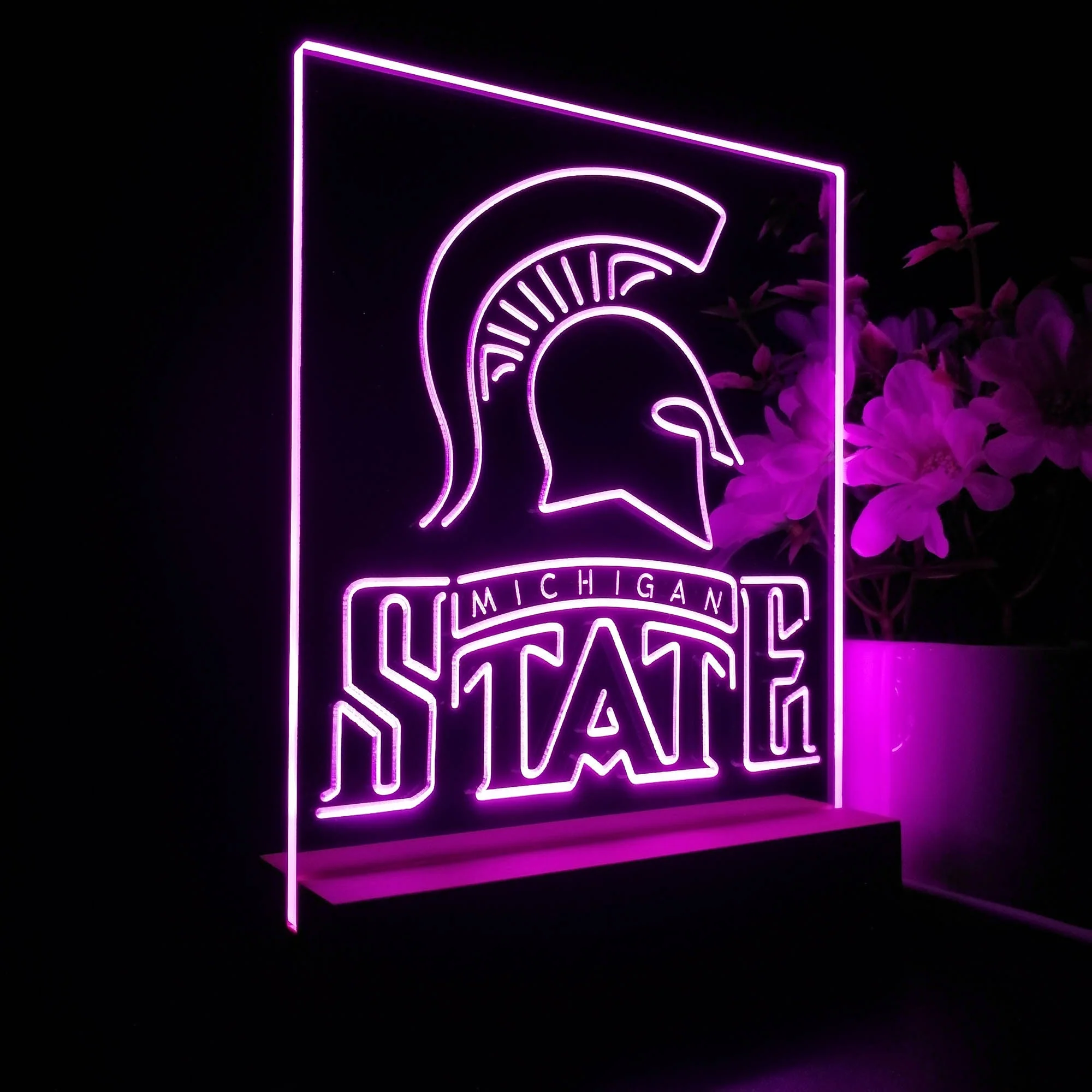 Michigan State Spartans Neon Sign Pub Bar Lamp - Image 7