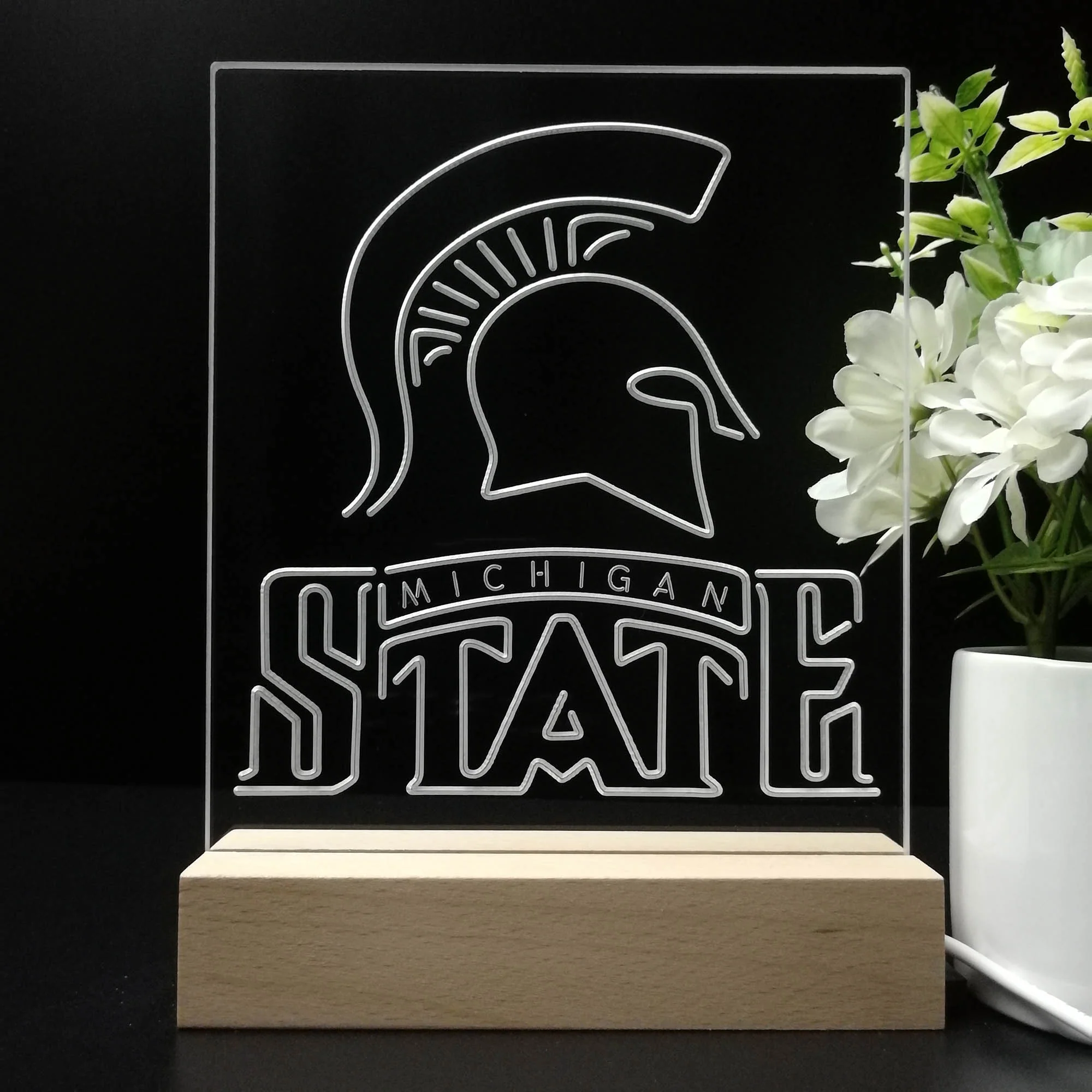 Michigan State Spartans Neon Sign Pub Bar Lamp - Image 8