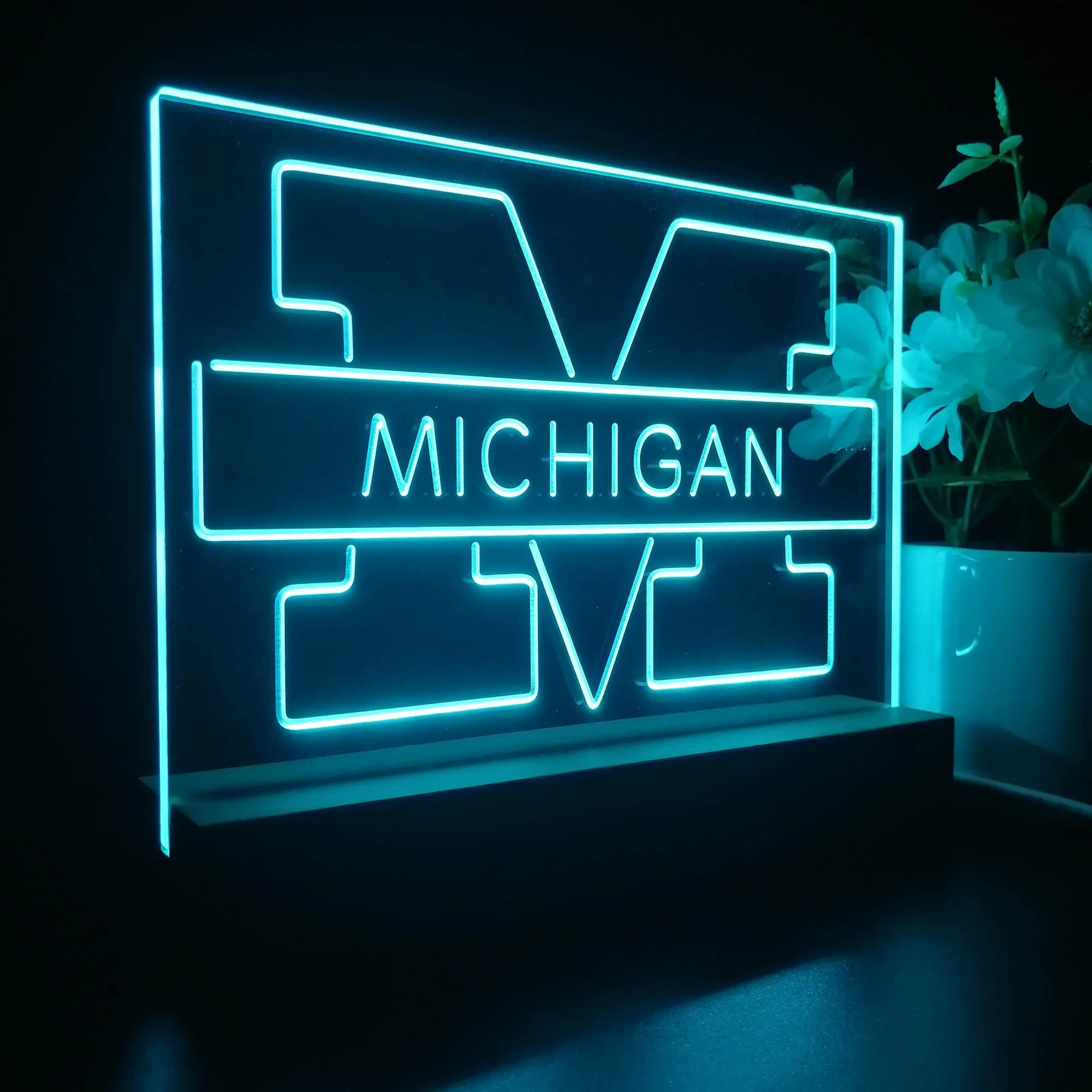 Michigan Wolverines Night Light Pub Bar Lamp - Image 5