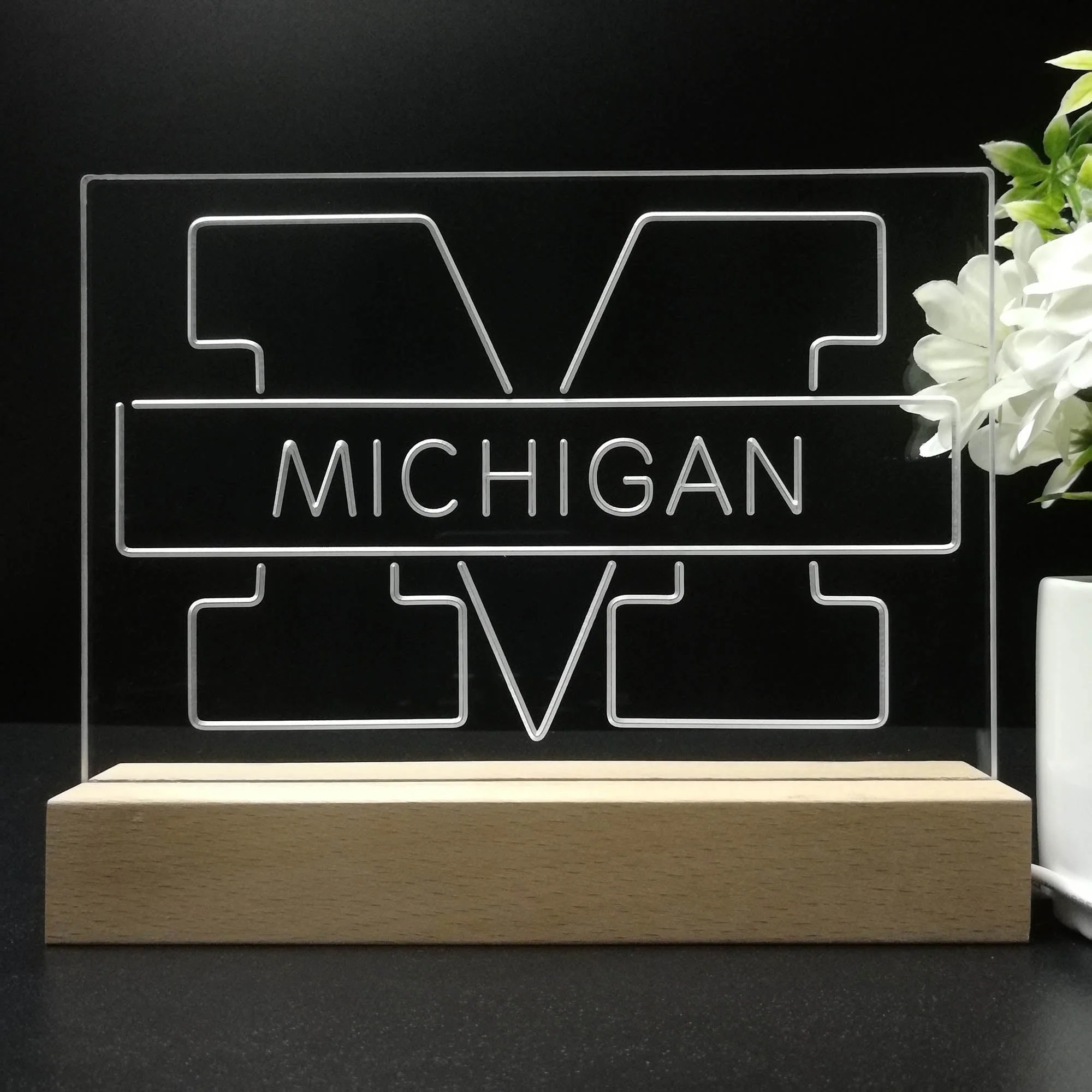 Michigan Wolverines Night Light Pub Bar Lamp - Image 8