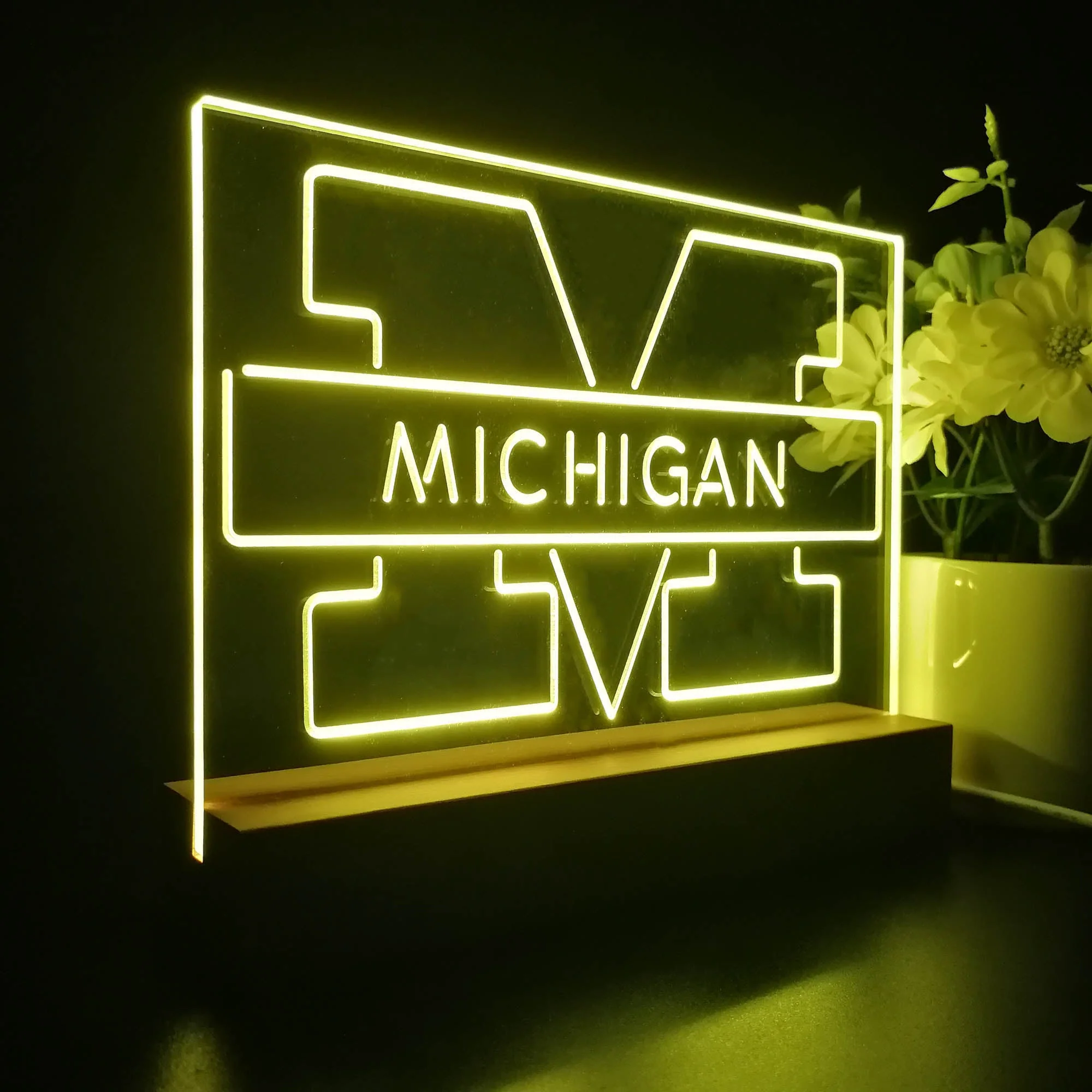 Michigan Wolverines Night Light Pub Bar Lamp - Image 5