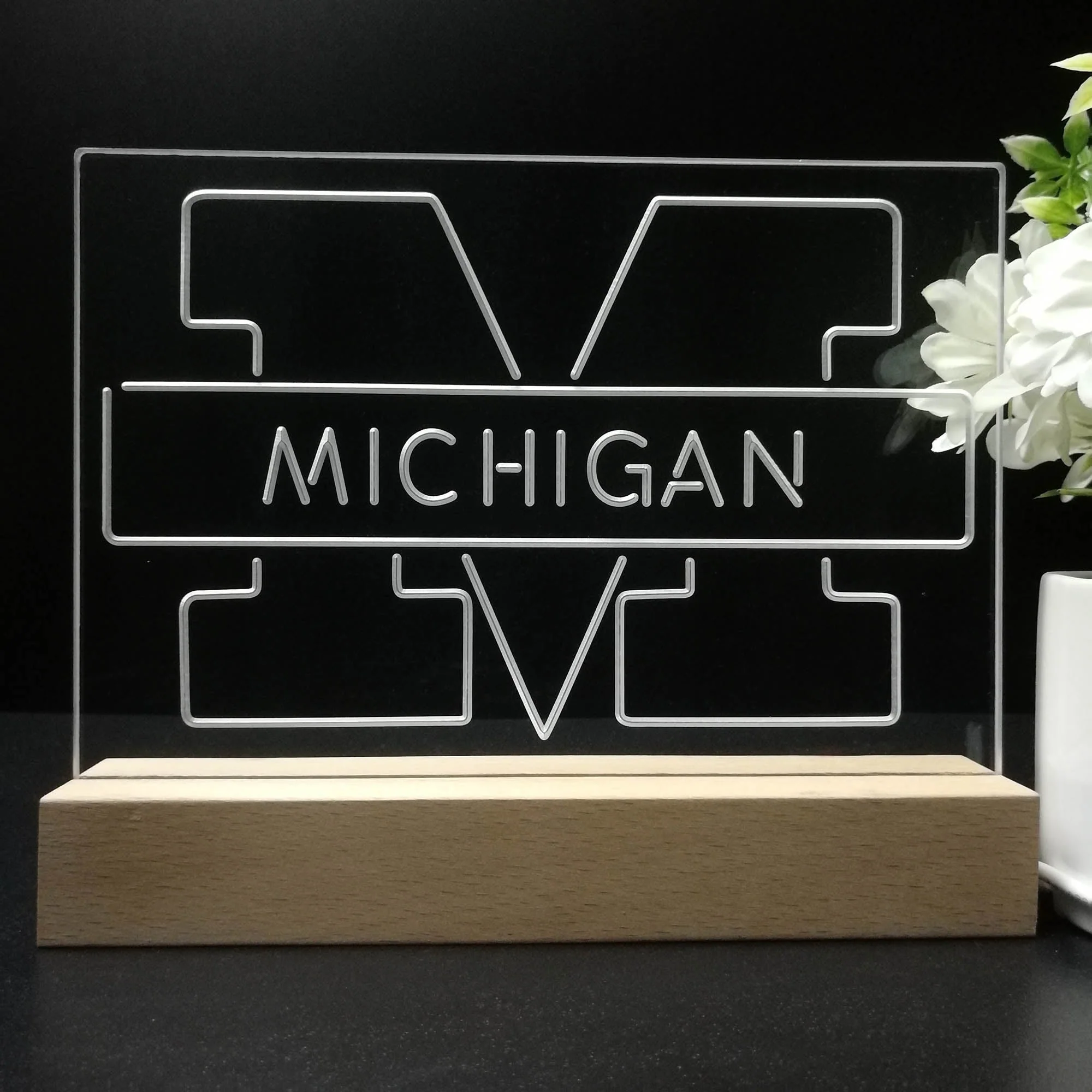 Michigan Wolverines Night Light Pub Bar Lamp - Image 8