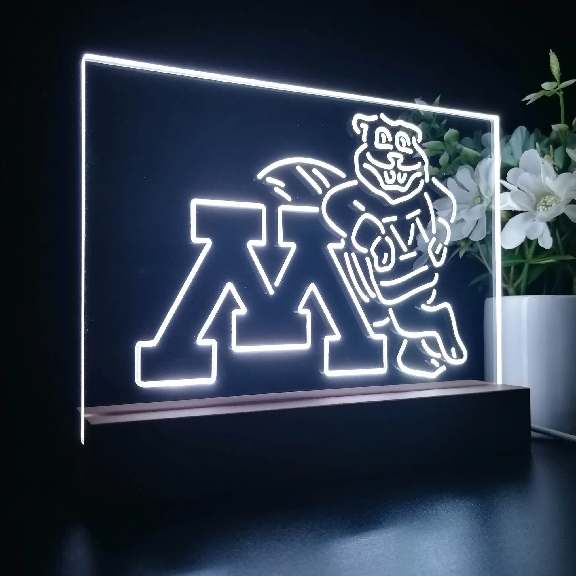 Minnesota Golden Gophers 3D Illusion Night Light Desk Lamp - Image 7