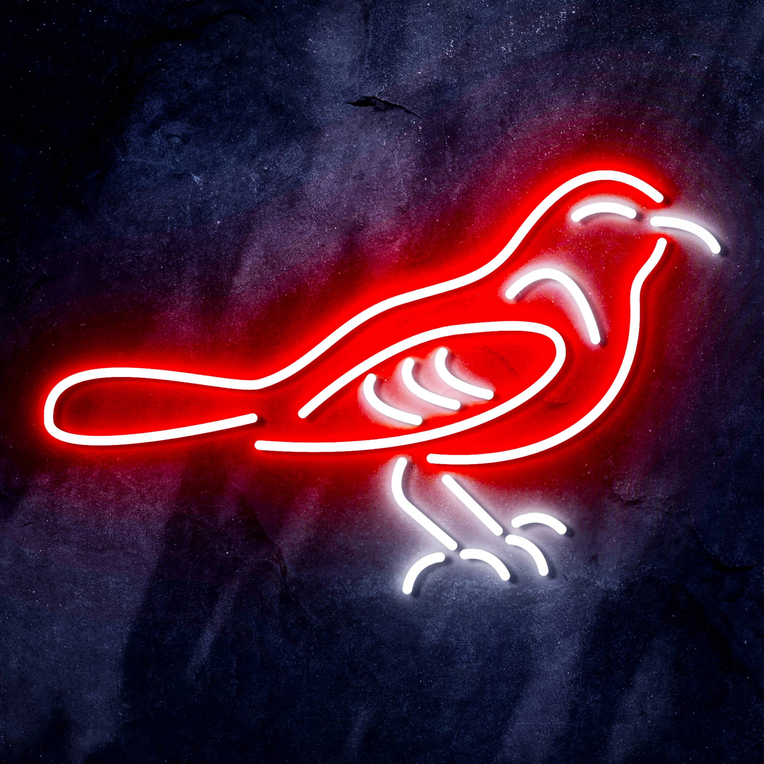 MLB Baltimore Orioles Bar Neon Flex LED Sign - Image 11