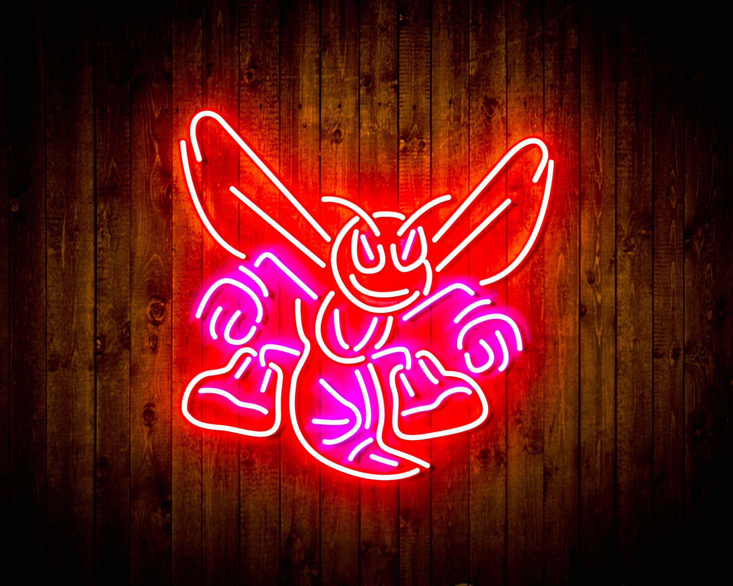 NBA Charlotte Hornets Bar Neon Flex LED Sign - Image 5