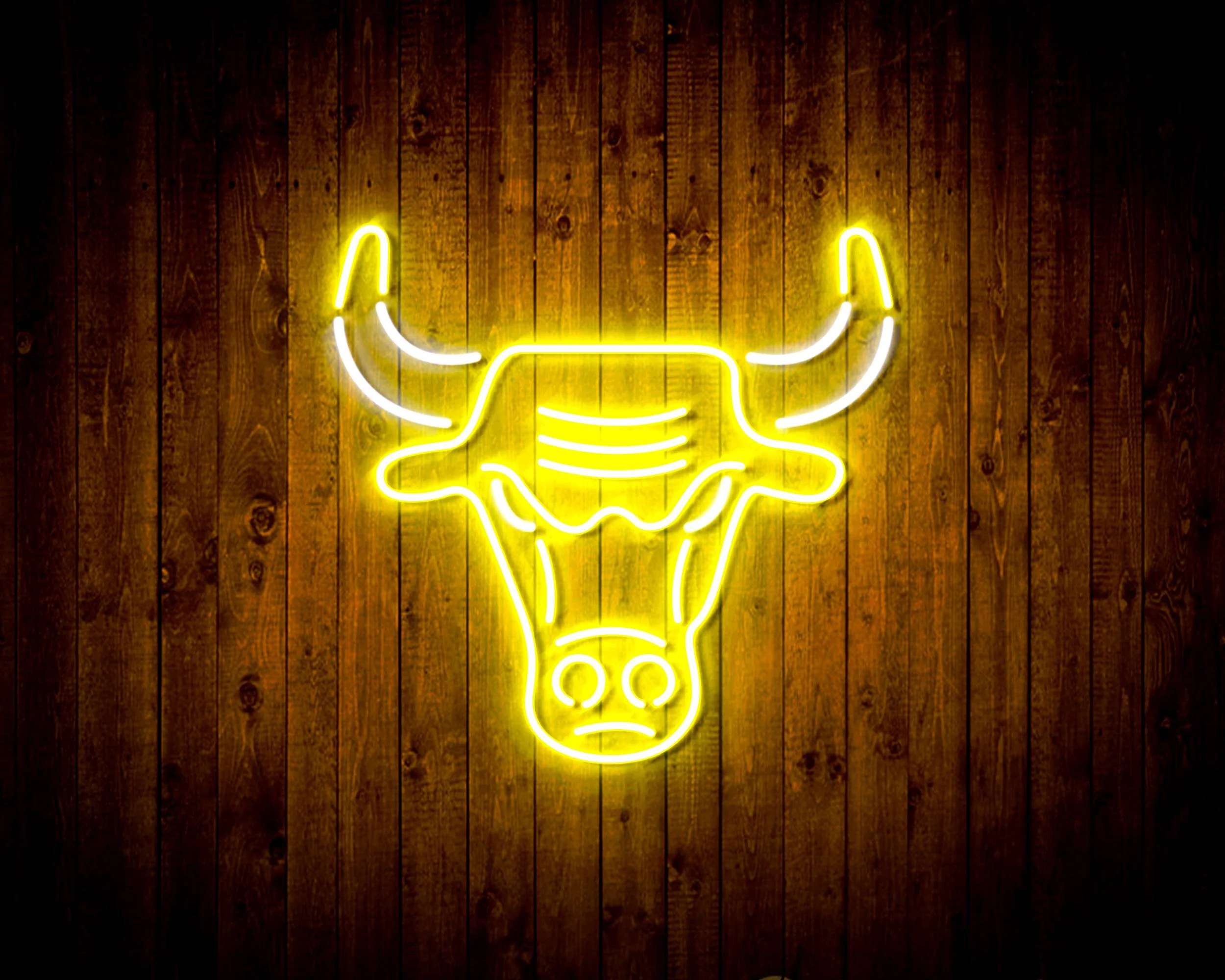NBA Chicago Bulls Bar Neon Flex LED Sign - Image 10