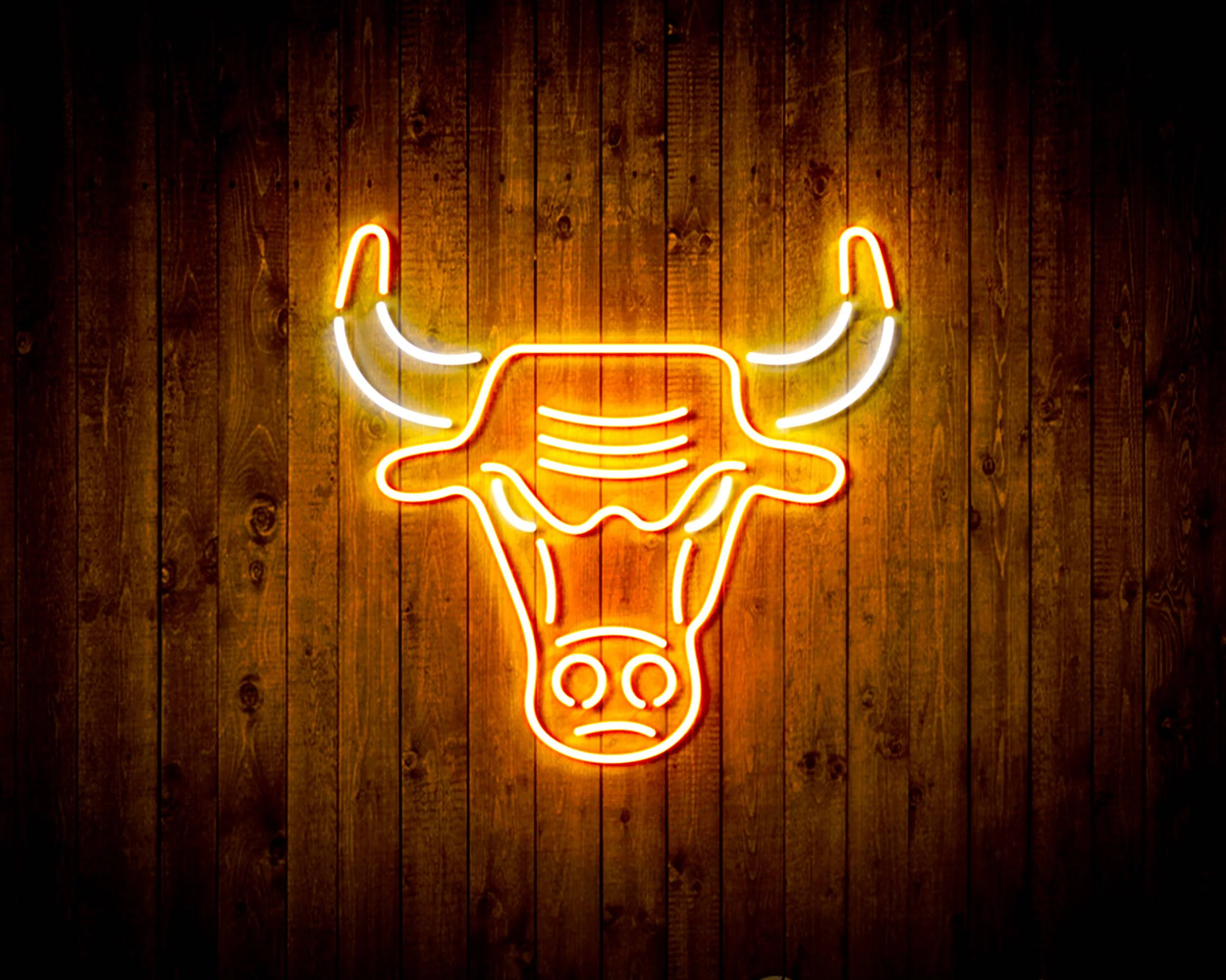 NBA Chicago Bulls Bar Neon Flex LED Sign - Image 11