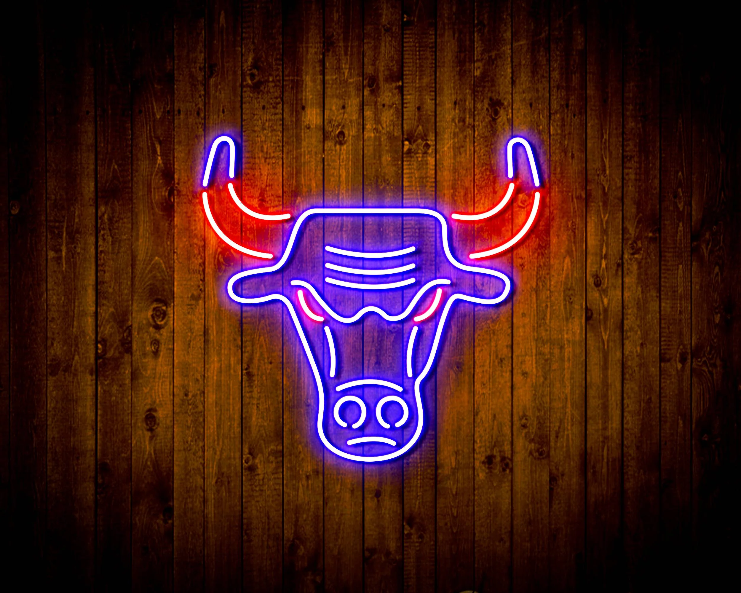 NBA Chicago Bulls Bar Neon Flex LED Sign - Image 3