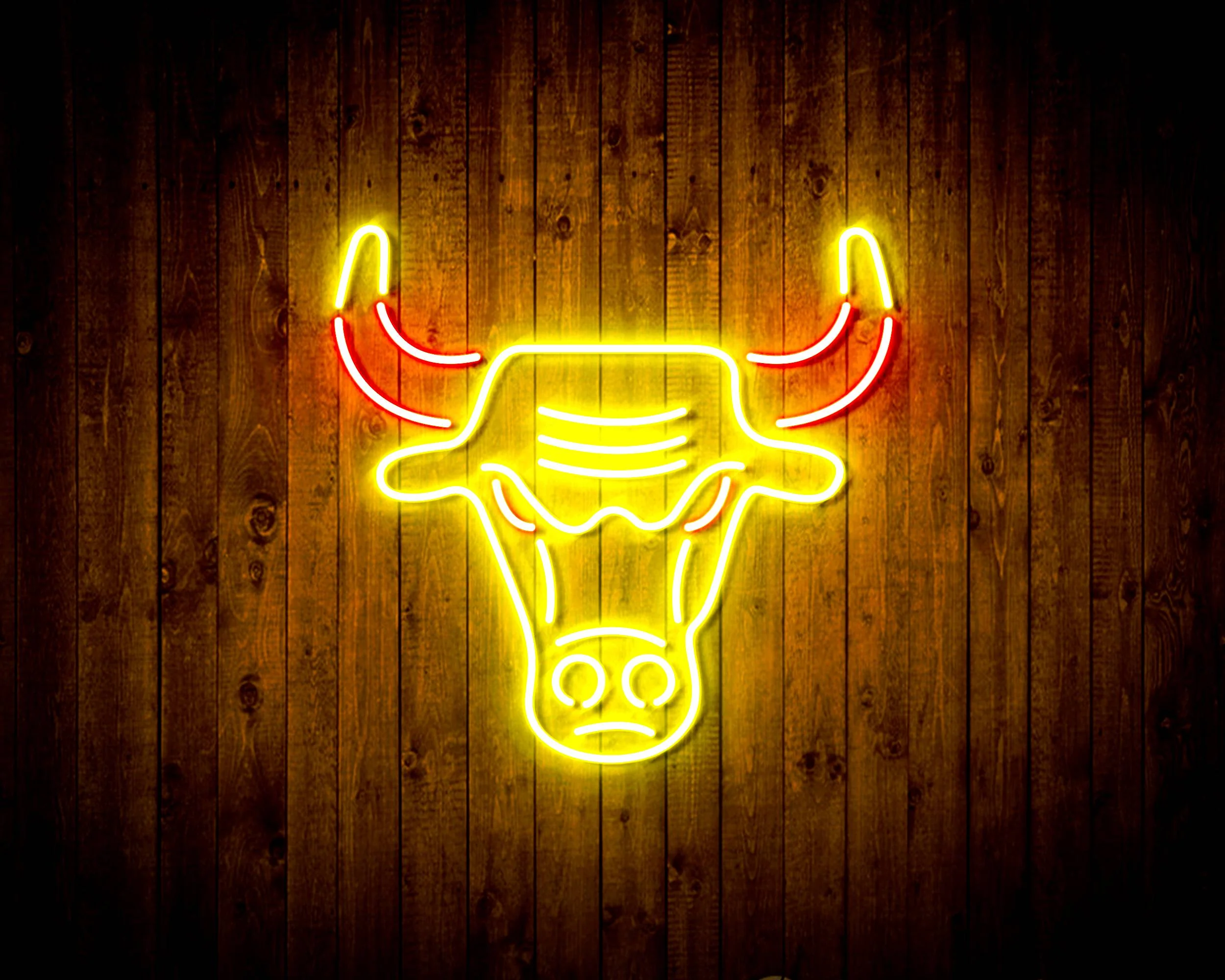 NBA Chicago Bulls Bar Neon Flex LED Sign - Image 8