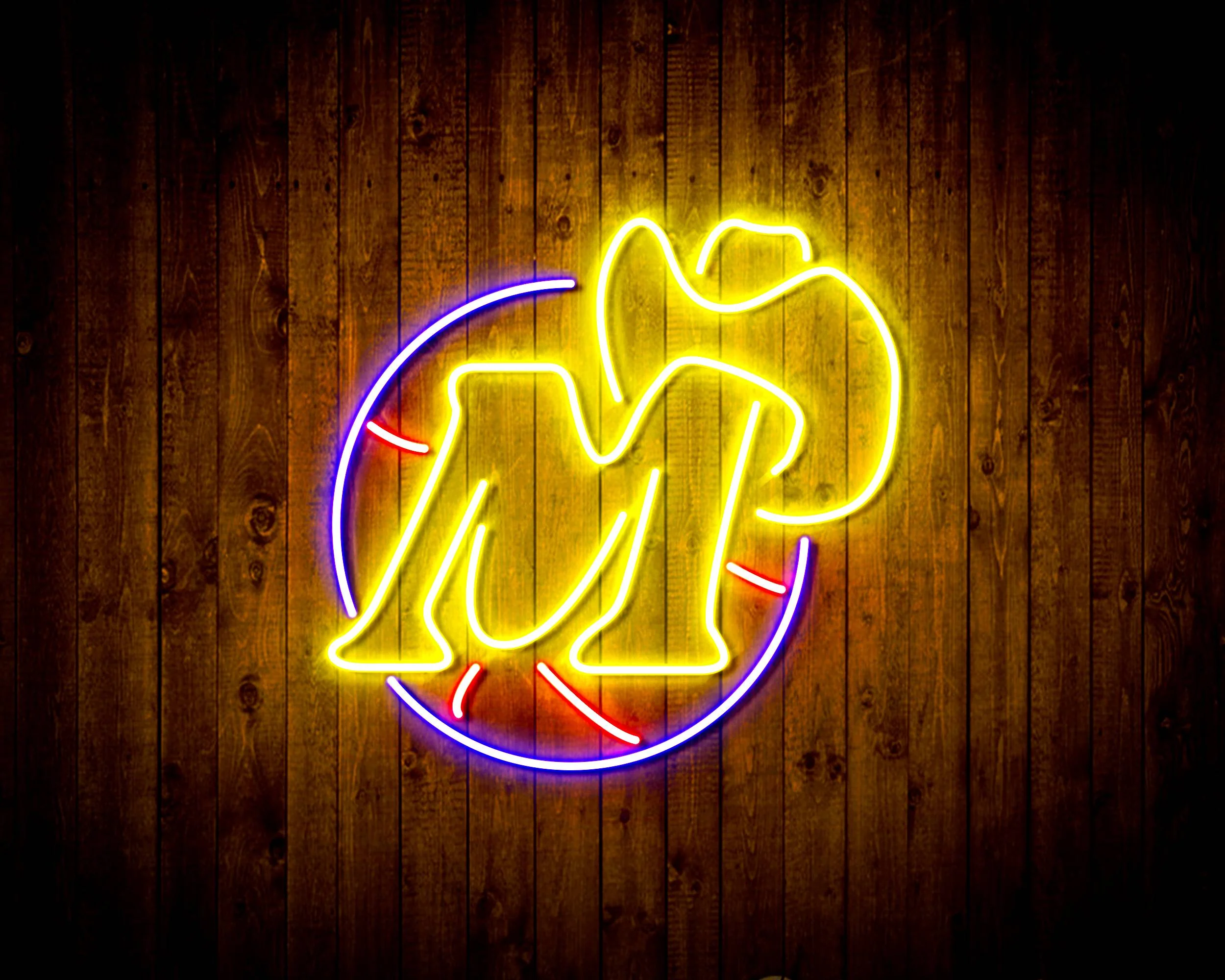 NBA Dallas Mavericks Bar Neon Flex LED Sign - Image 3