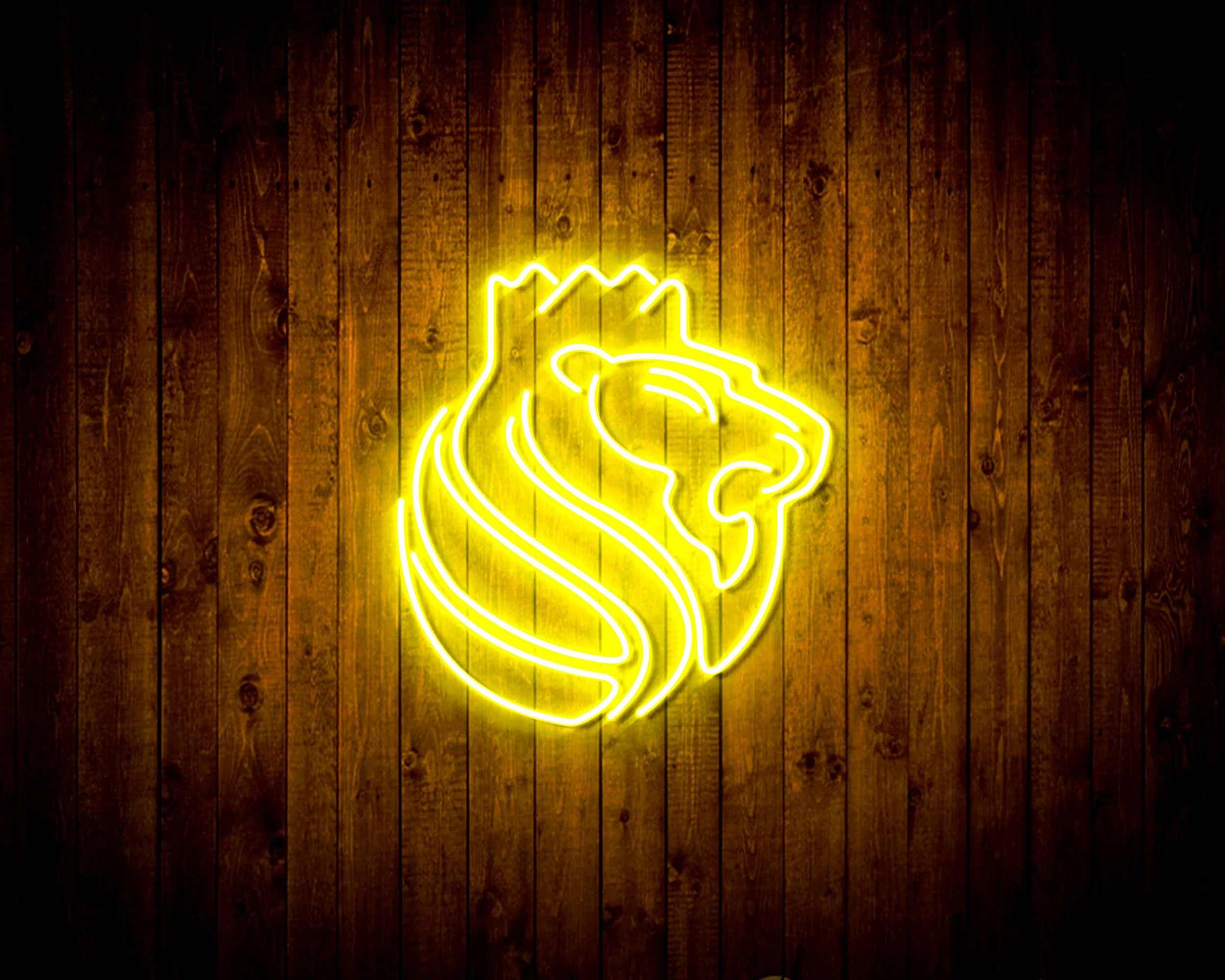 NBA Sacramento Kings Bar Neon Flex LED Sign - Image 9