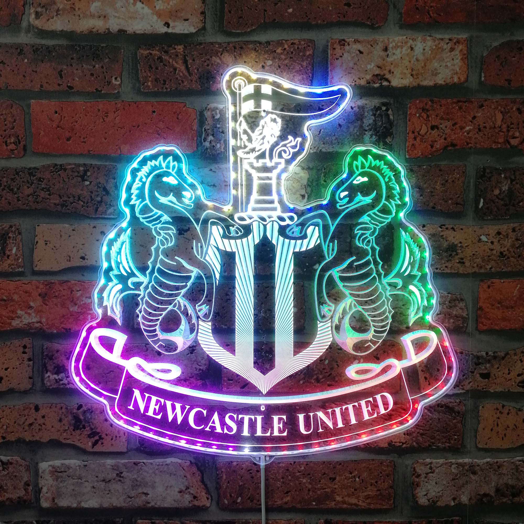 Newcastle United Neon LED Sign with Dynamic RGB Colors