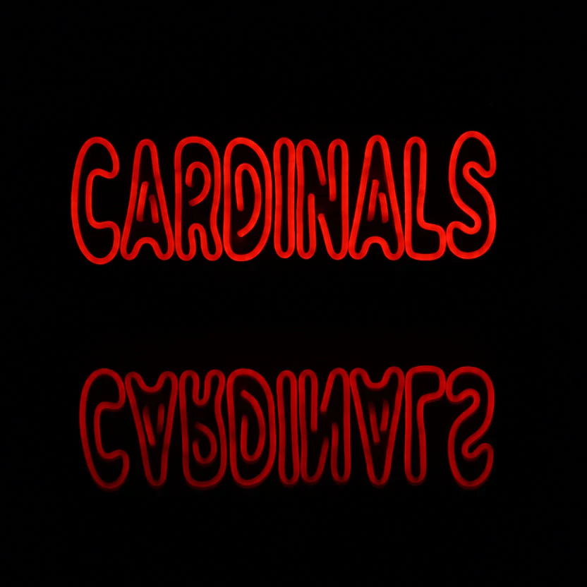 NFL Arizona Cardinals Handmade Neon Flex LED Sign - Image 5