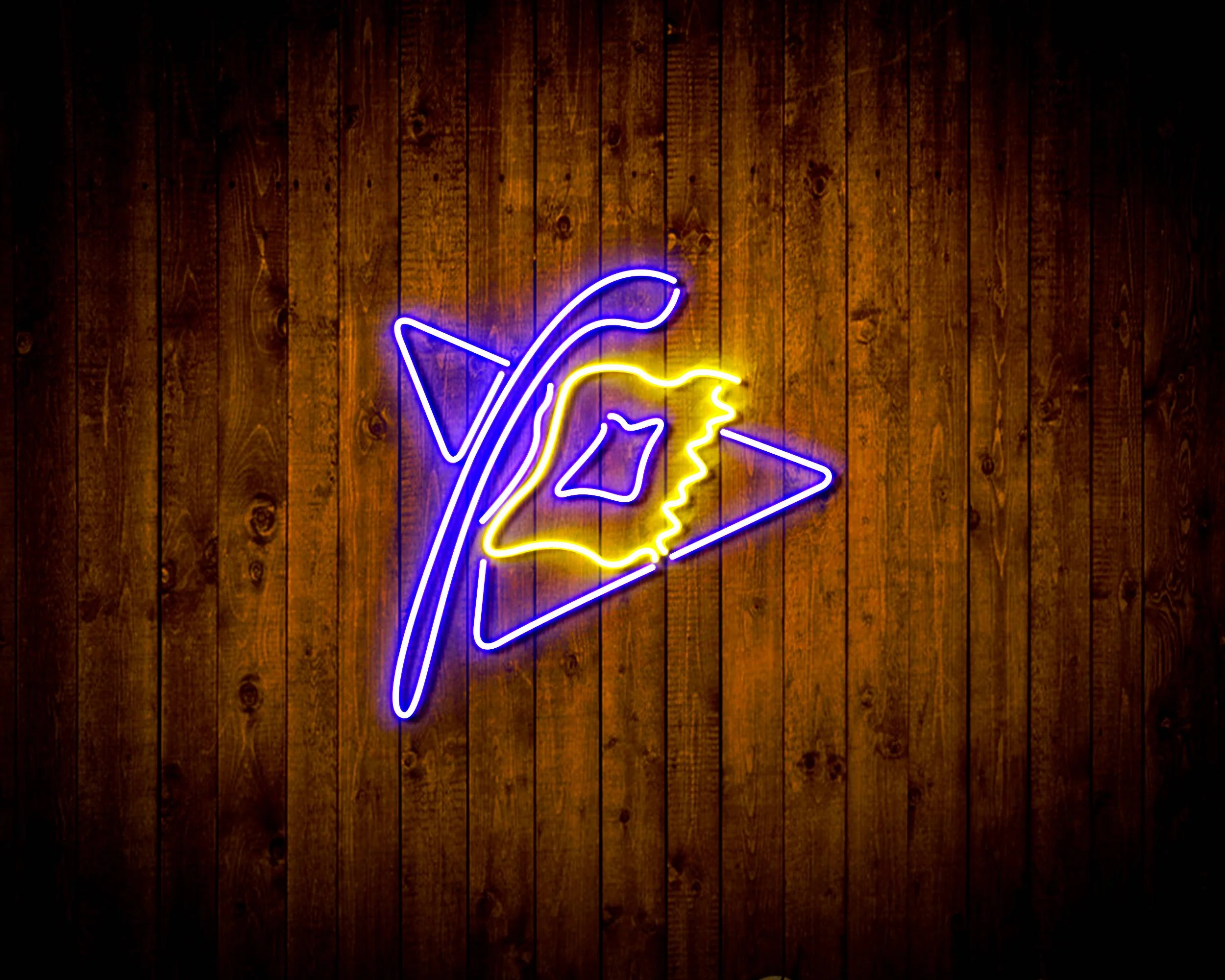 NHL Carolina Hurricanes Bar Neon Flex LED Sign - Image 9
