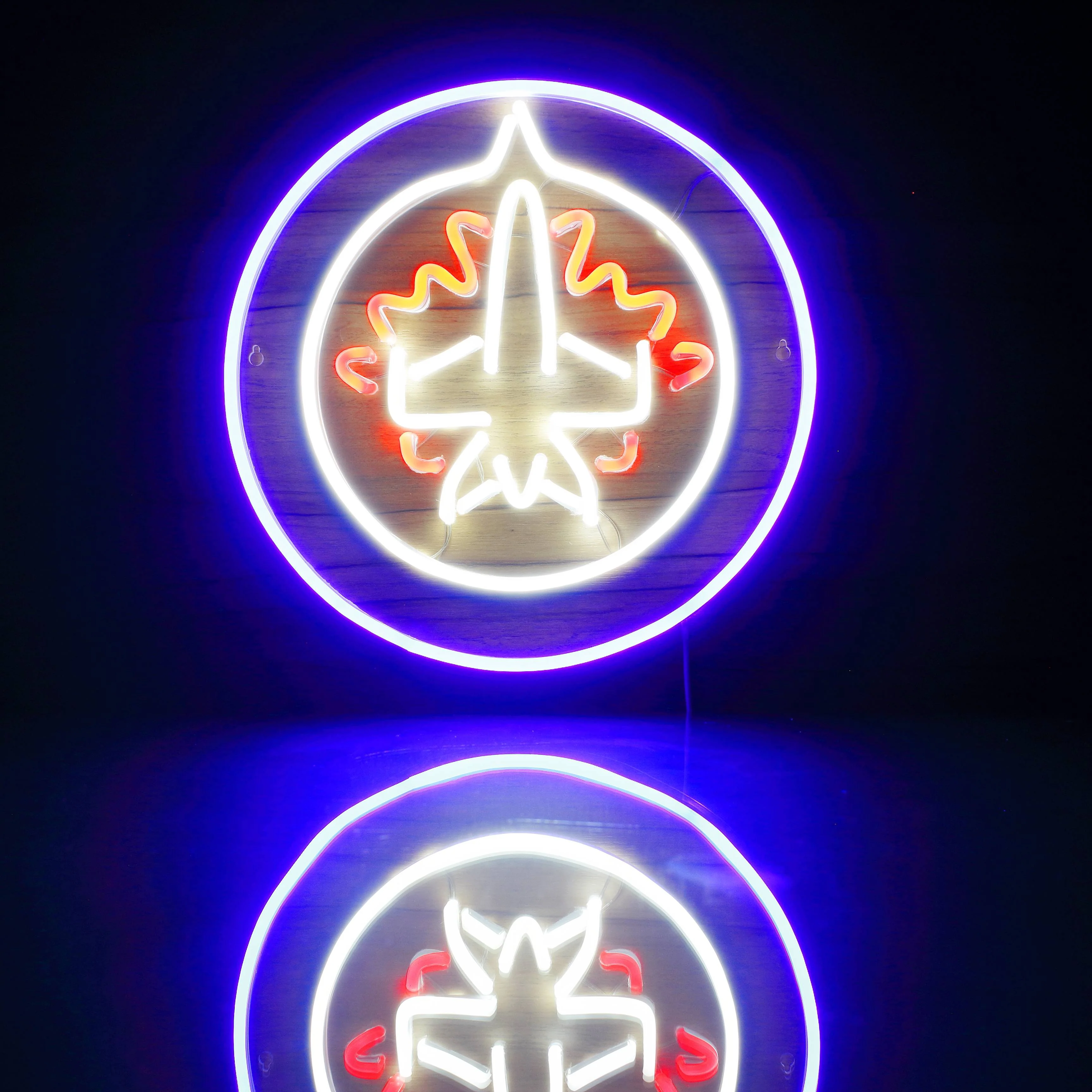 NHL Winnipeg Jets Bar Neon Flex LED Sign