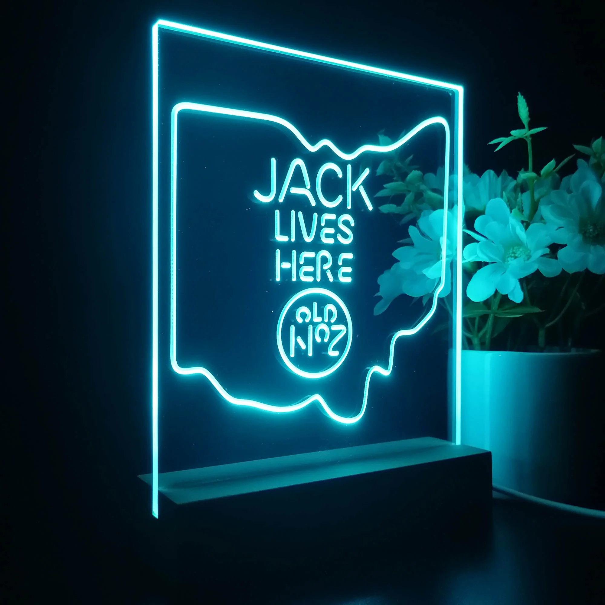 Ohio Jack Lives Here 3D Illusion Night Light Desk Lamp - Image 5
