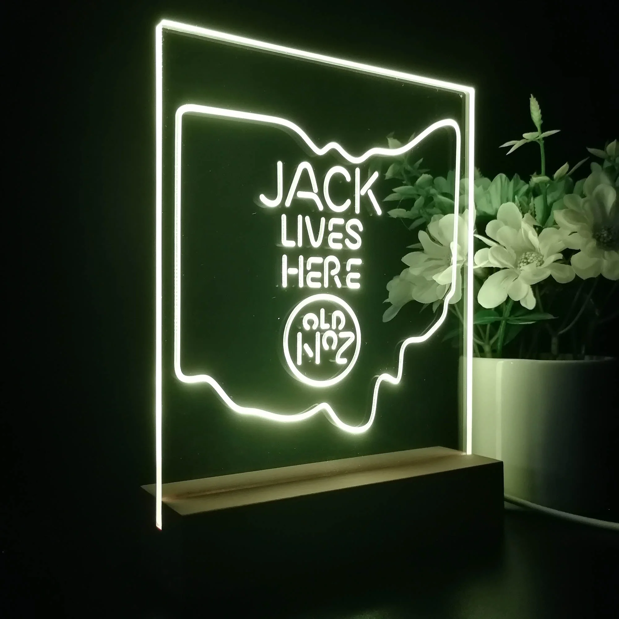 Ohio Jack Lives Here 3D Illusion Night Light Desk Lamp - Image 6