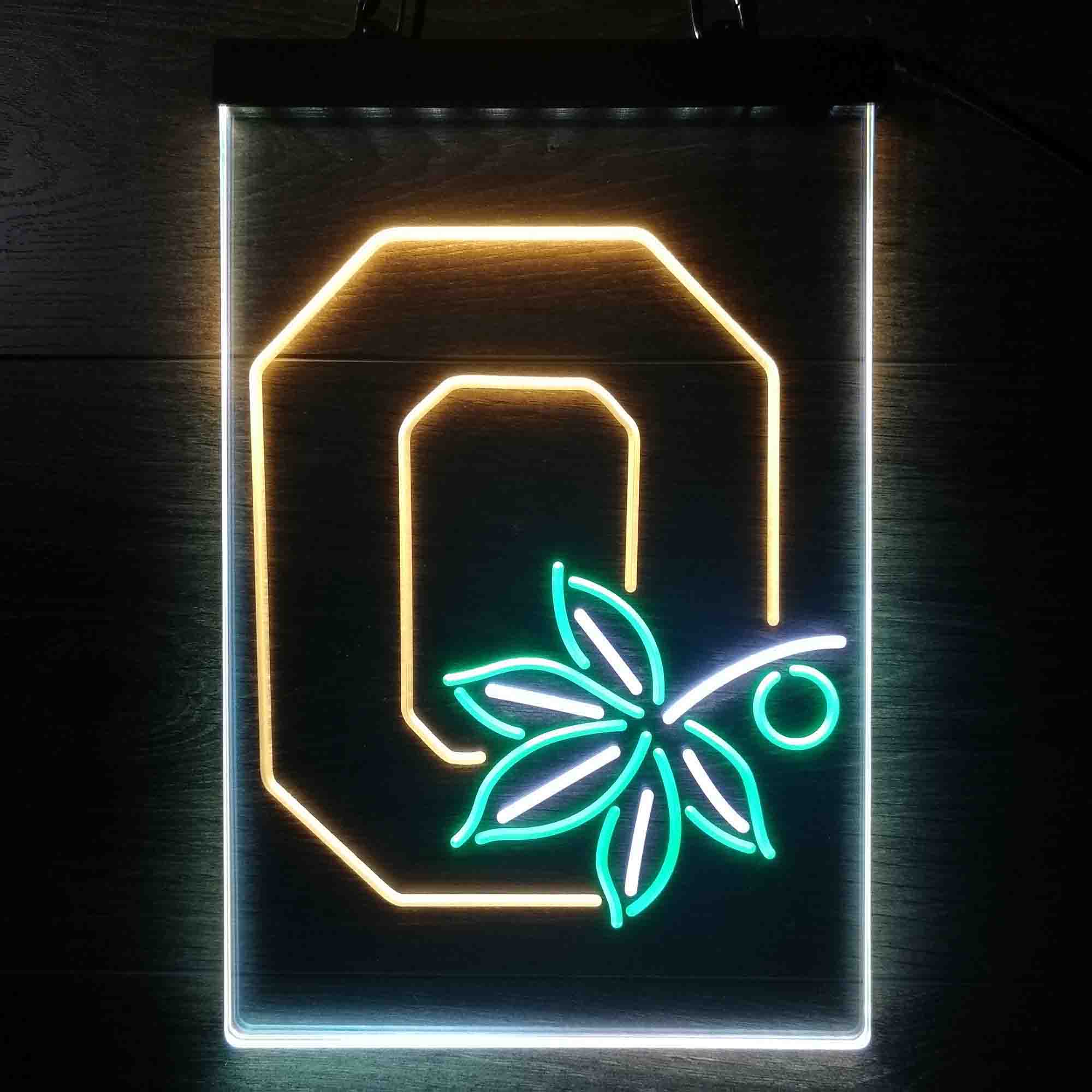 Ohio State Buckeyes Neon LED Sign 3 Colors - Image 7
